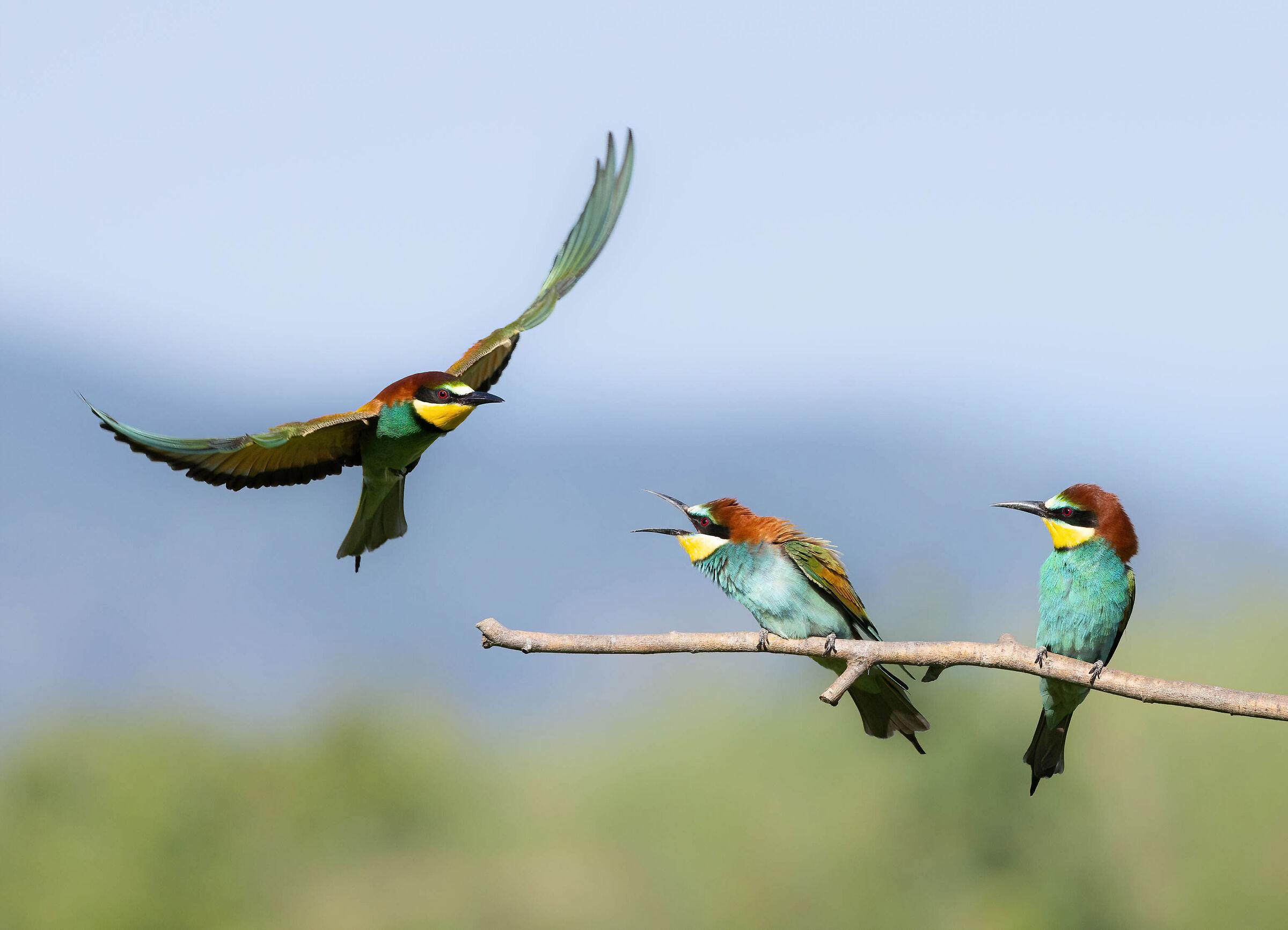 Pussa via, lei e' mia!