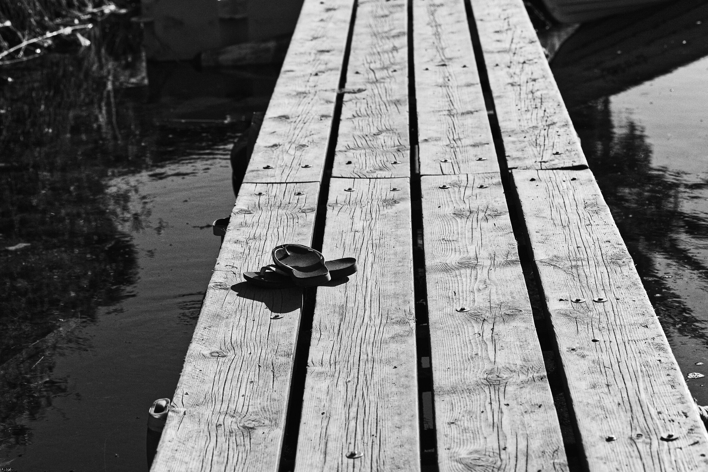 Untitled Photo