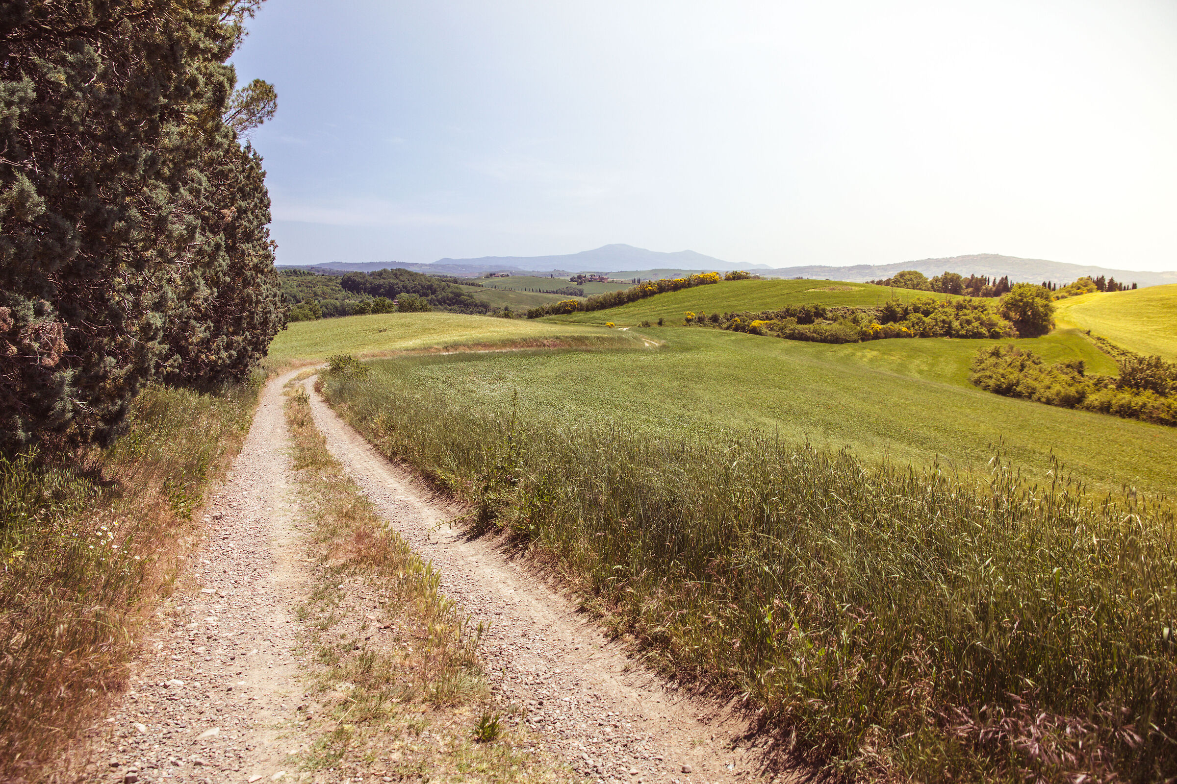 Crete senesi