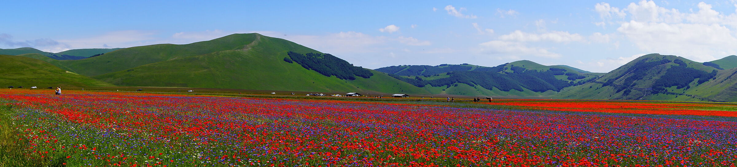 Piana di Castelluccio