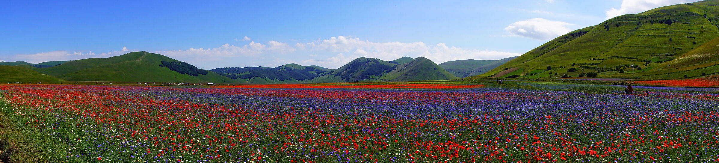 Piana di Castelluccio
