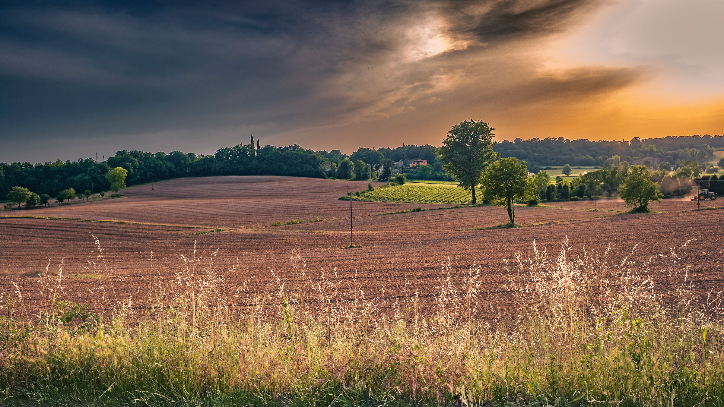 Una sera qualunque di inizio estate