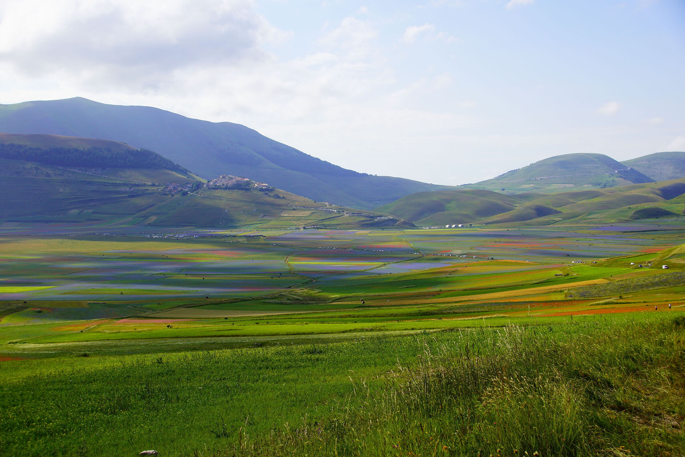 Piana di Castelluccio