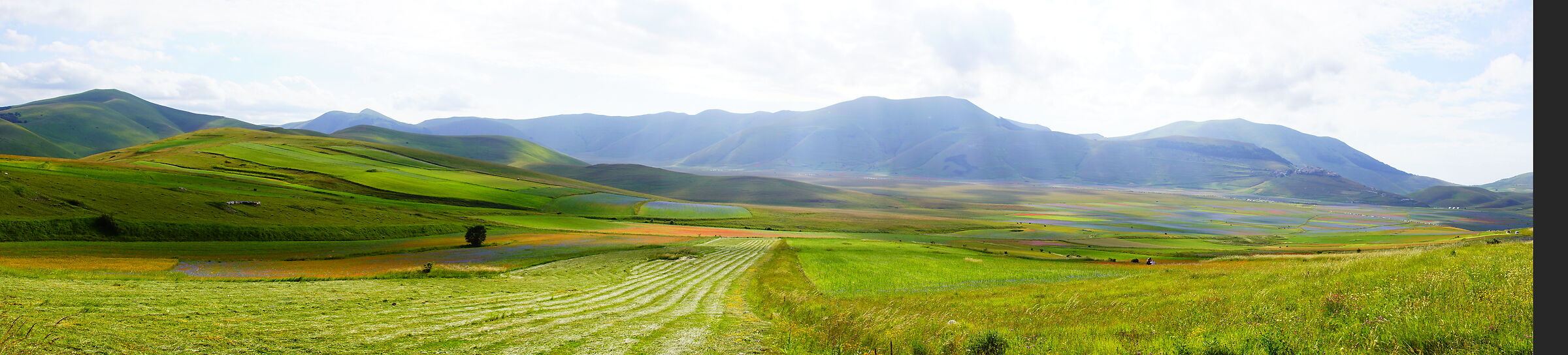 Piana di Castelluccio