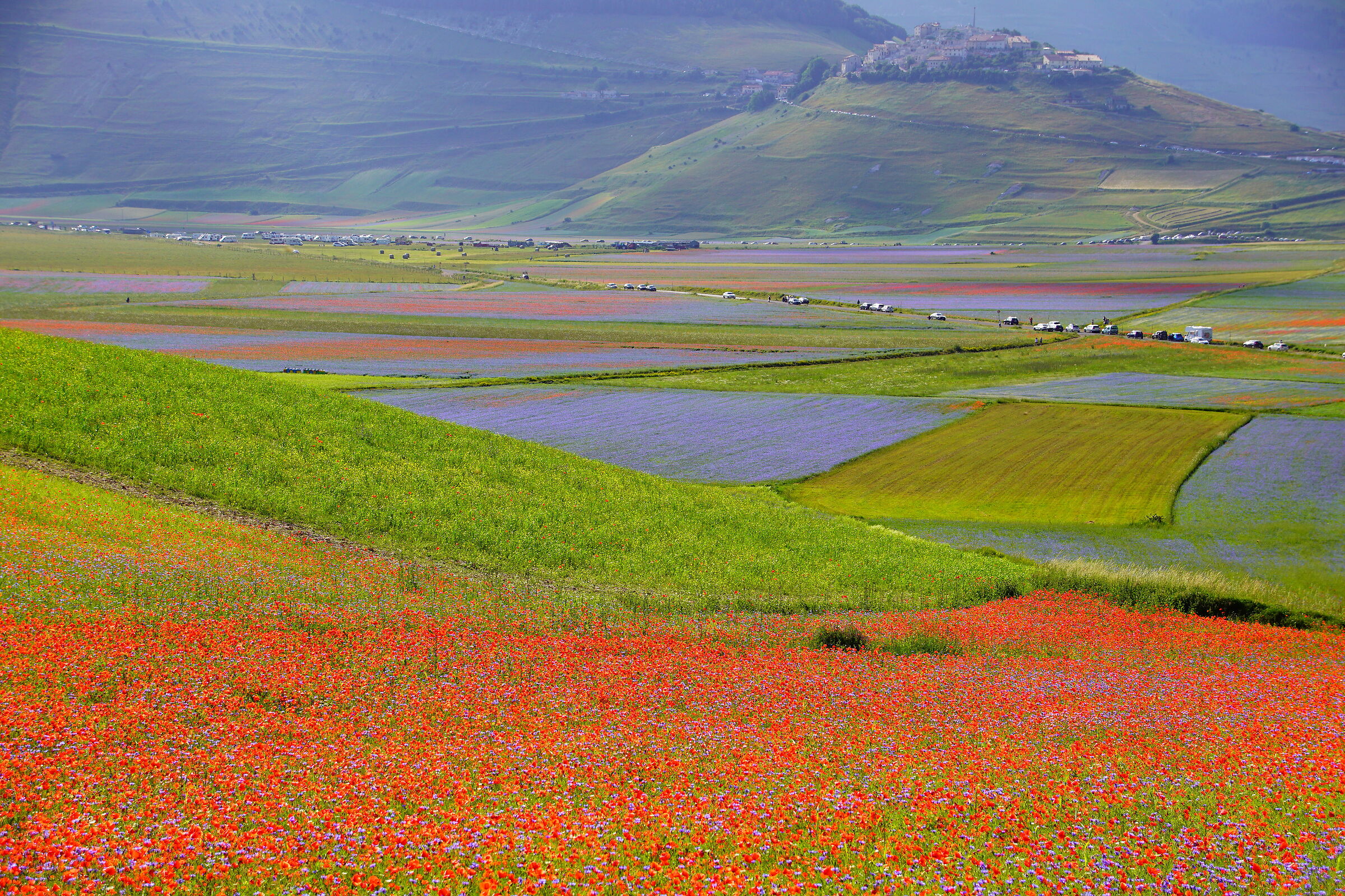 Plain of Castelluccio