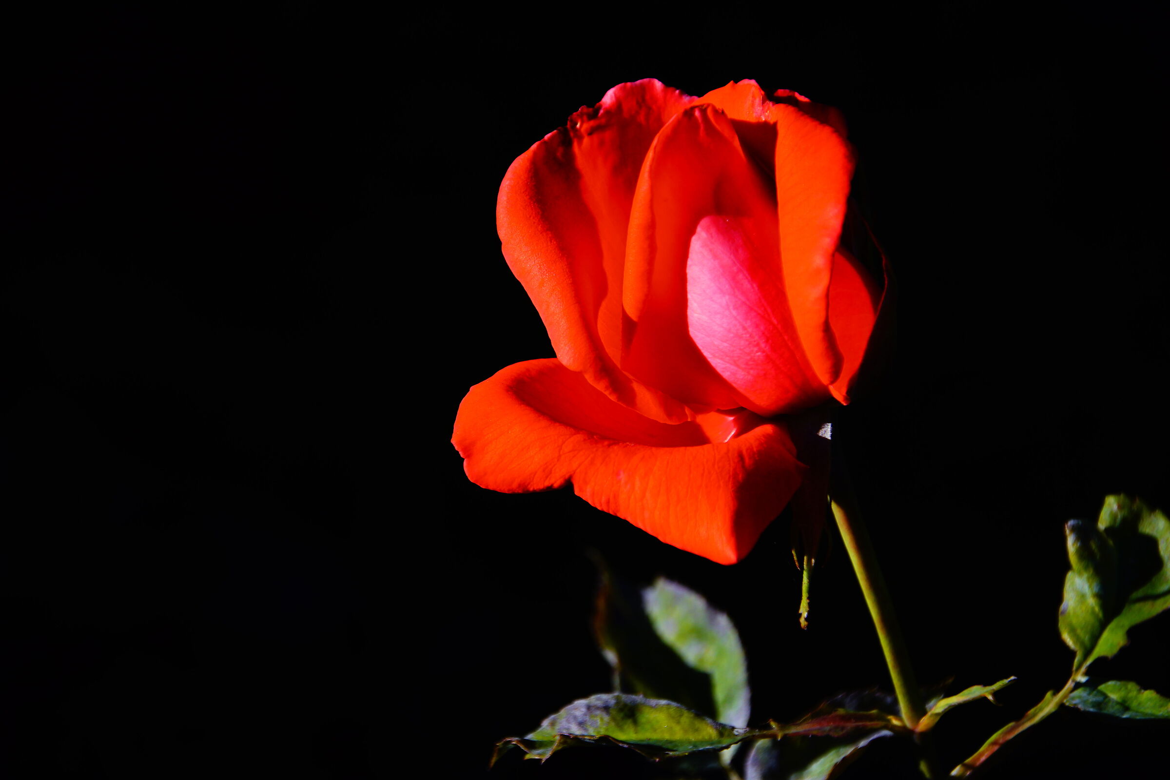 Untitled Photo