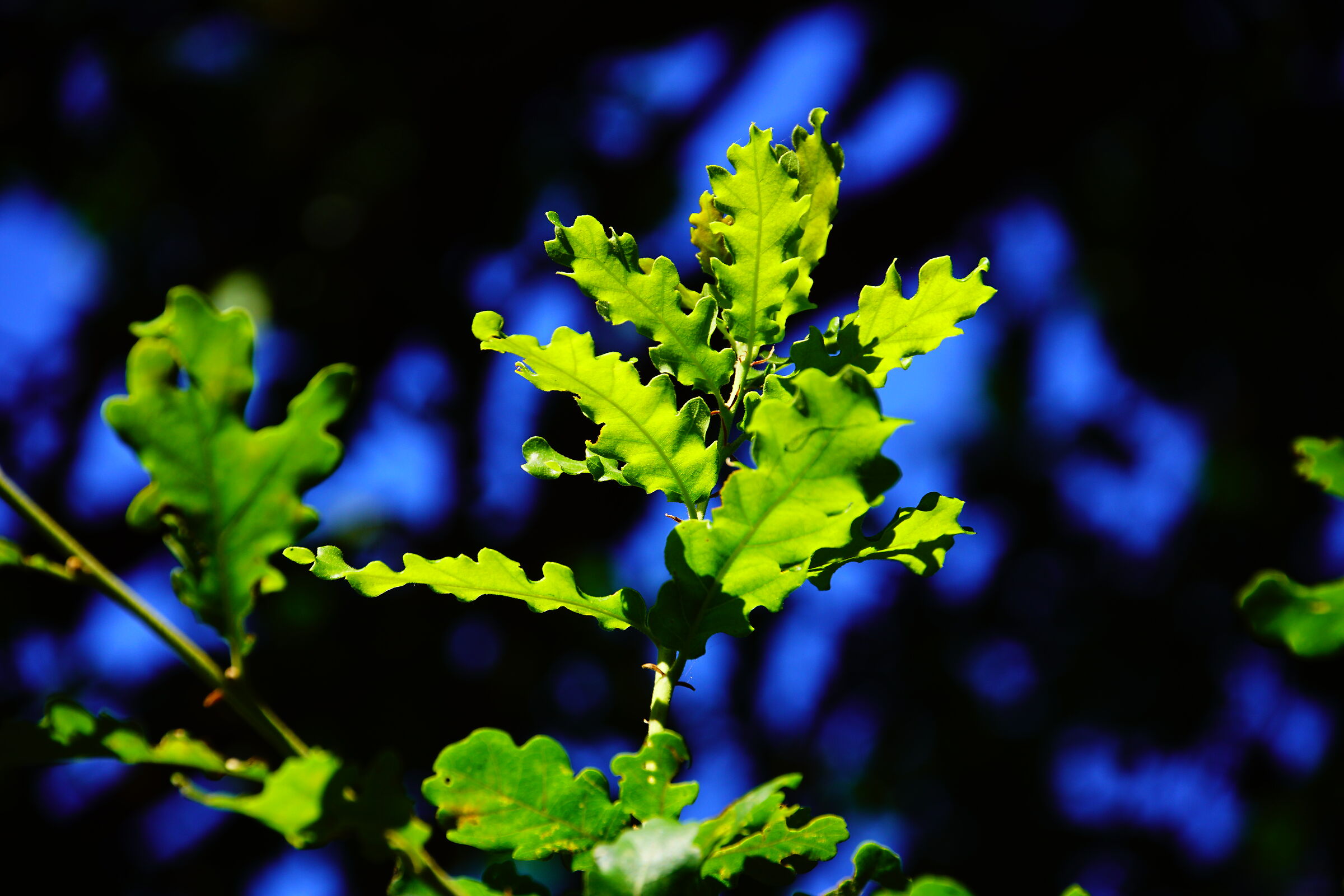 Untitled Photo
