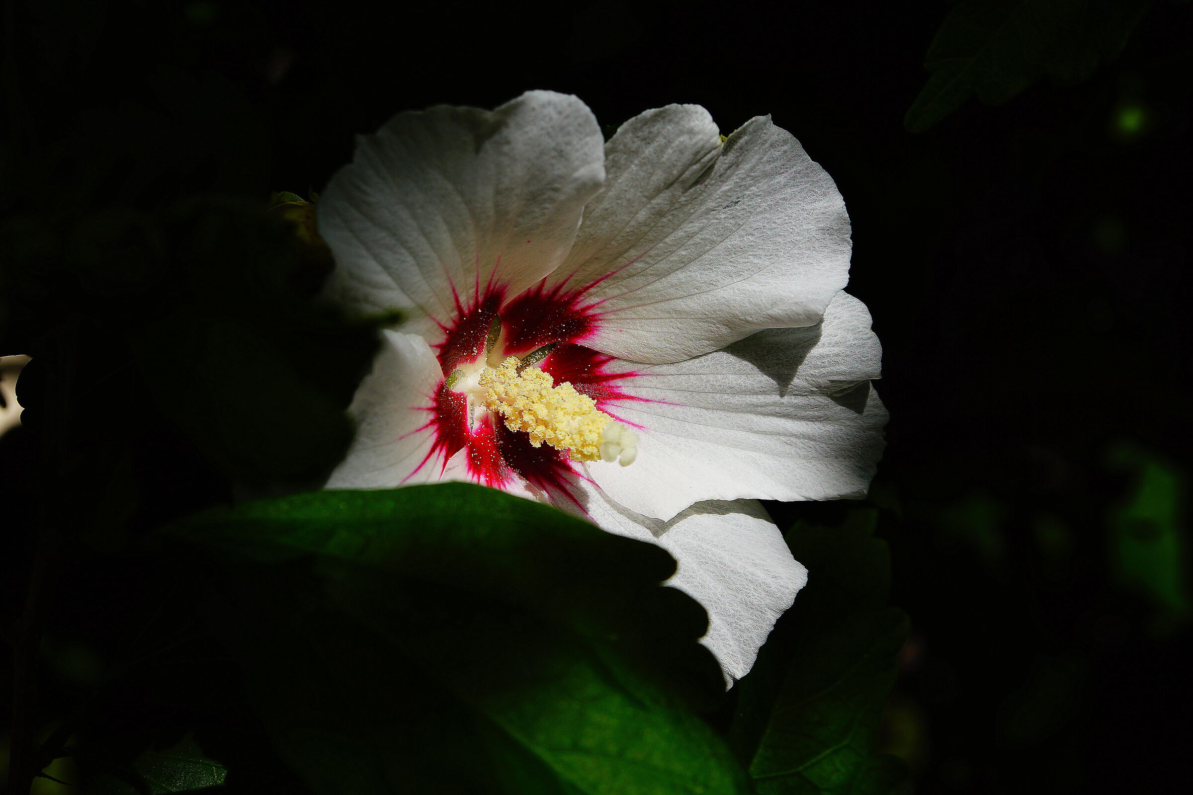 Untitled Photo