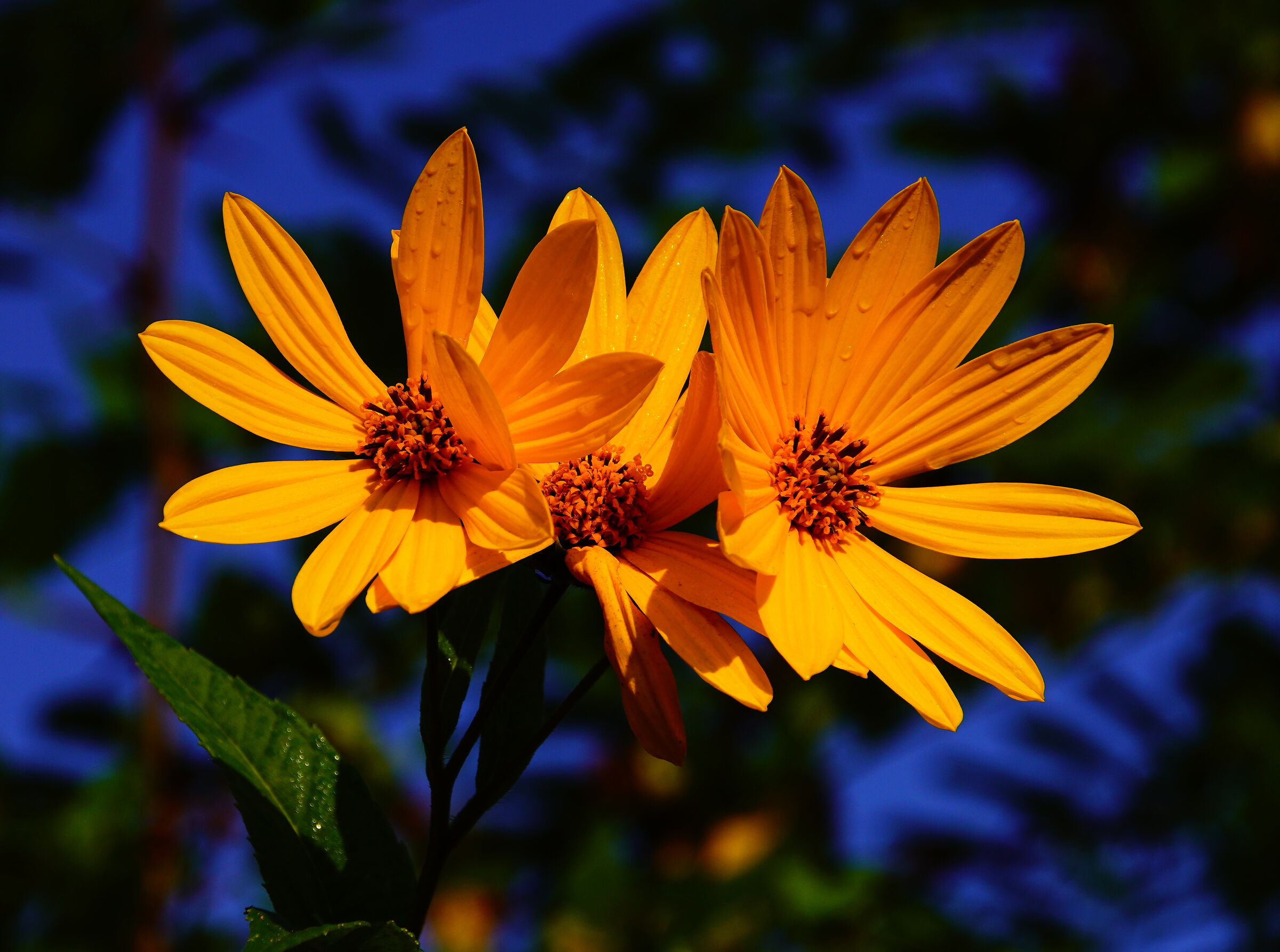 Untitled Photo