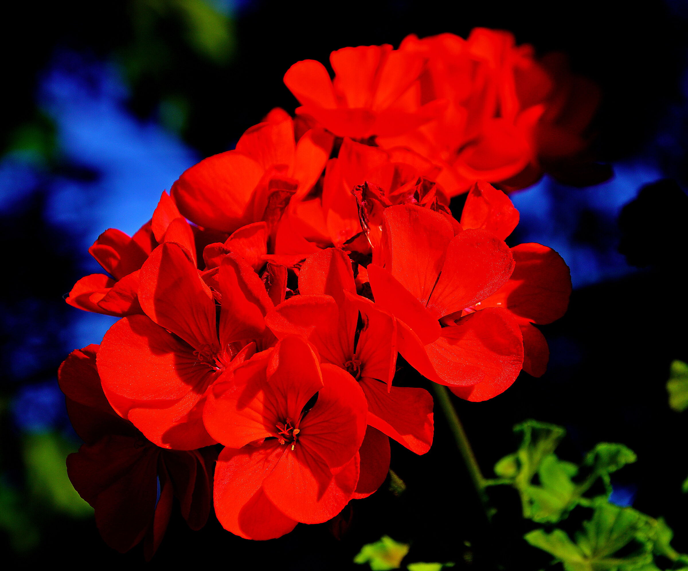 Untitled Photo