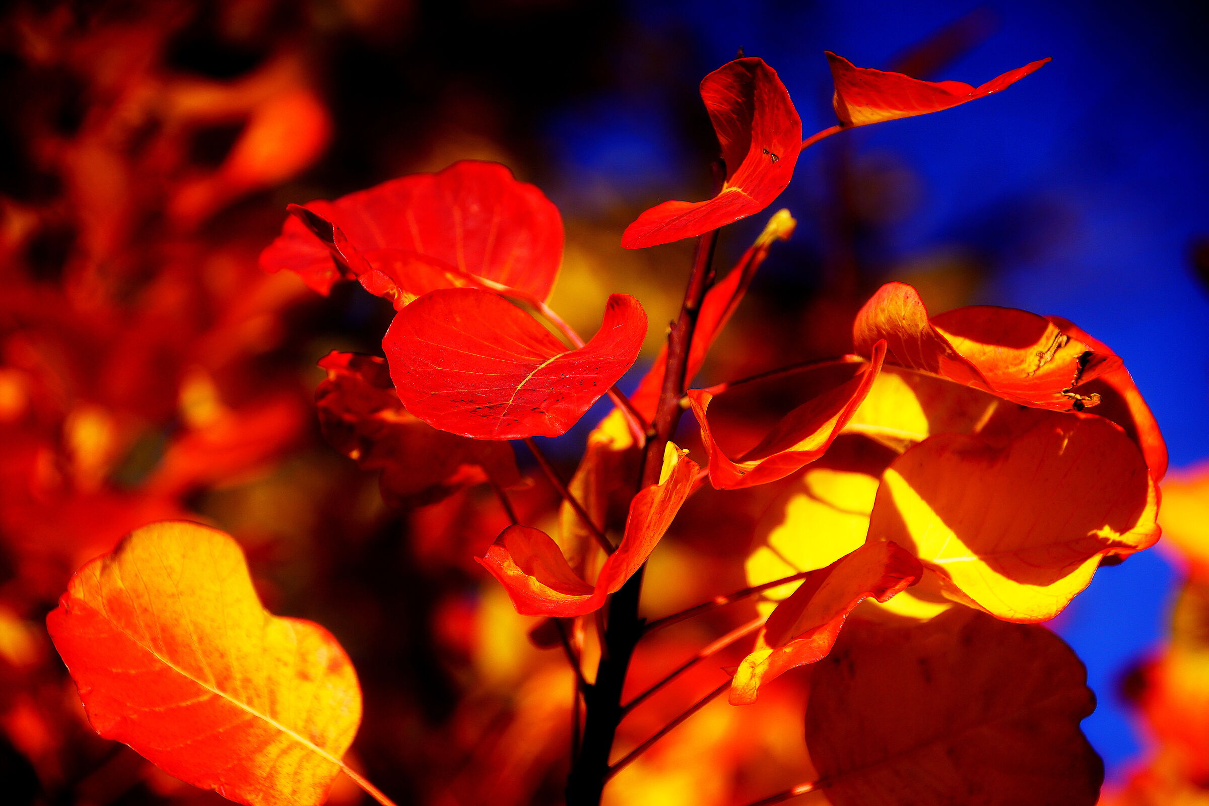 Untitled Photo
