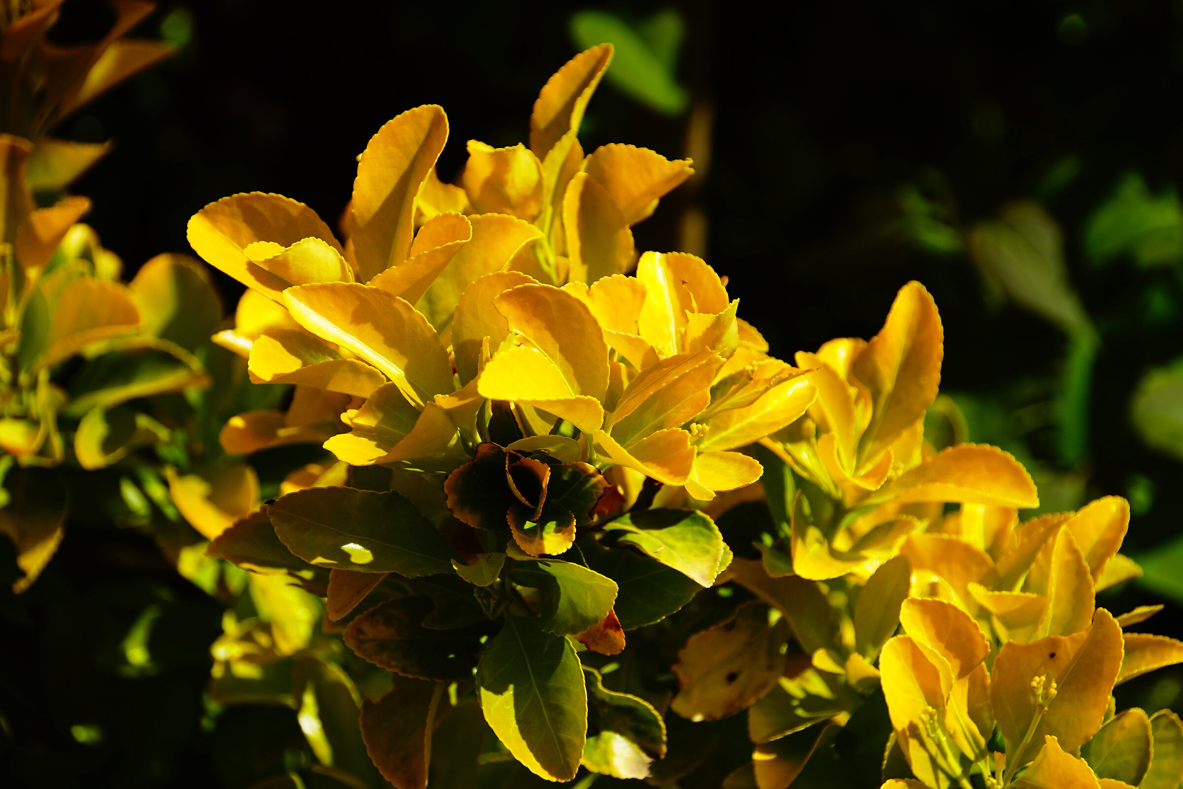 Untitled Photo