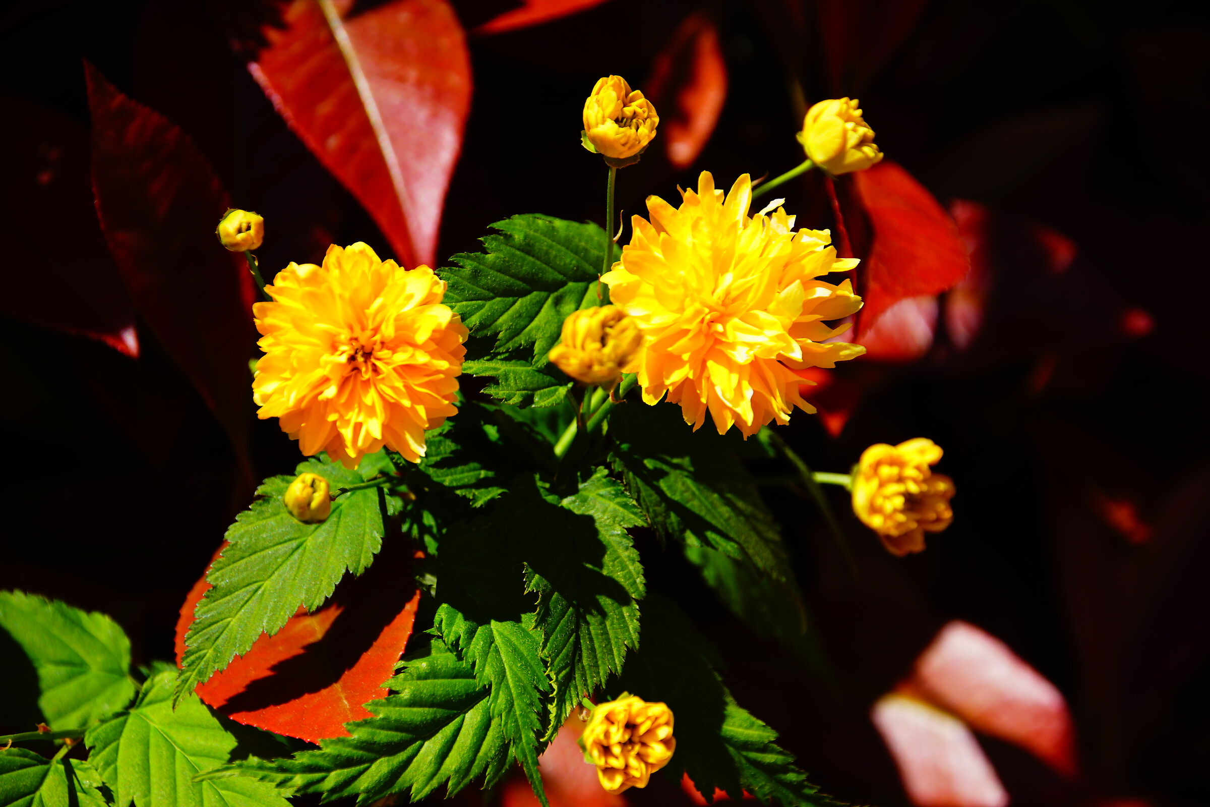 Untitled Photo