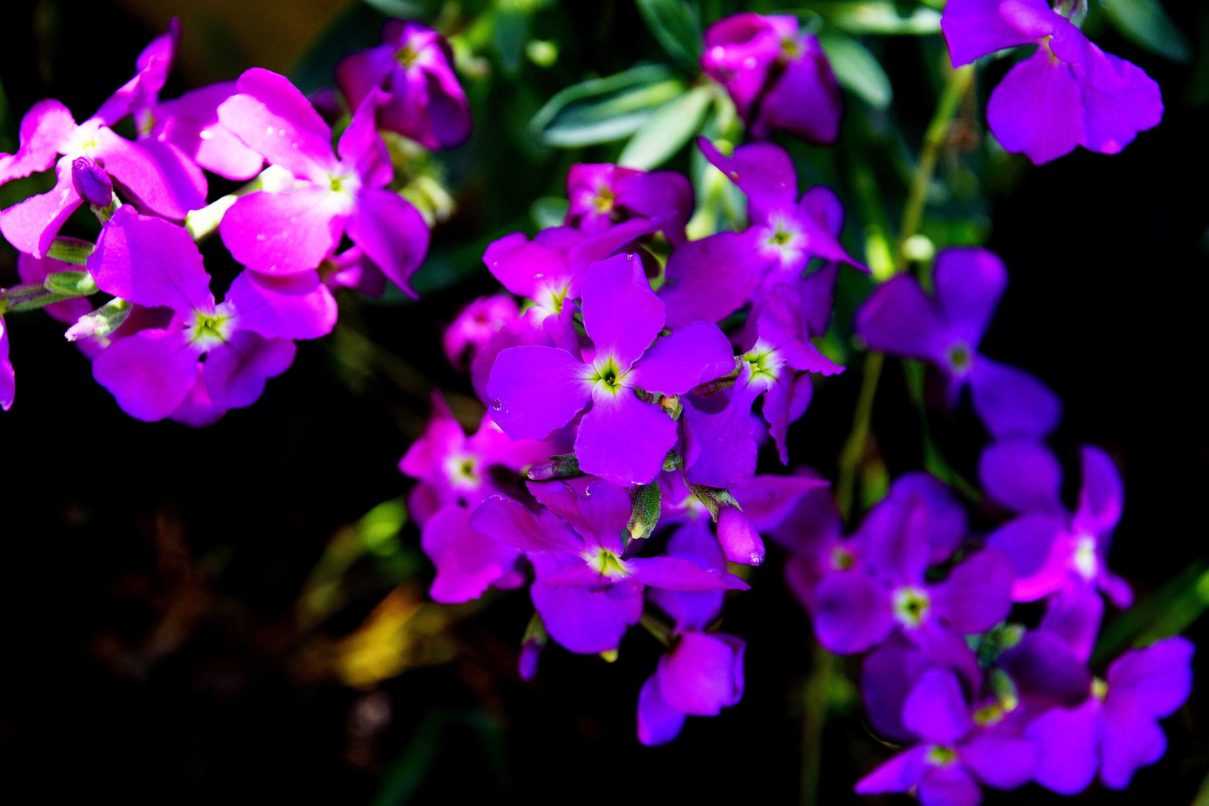 Untitled Photo