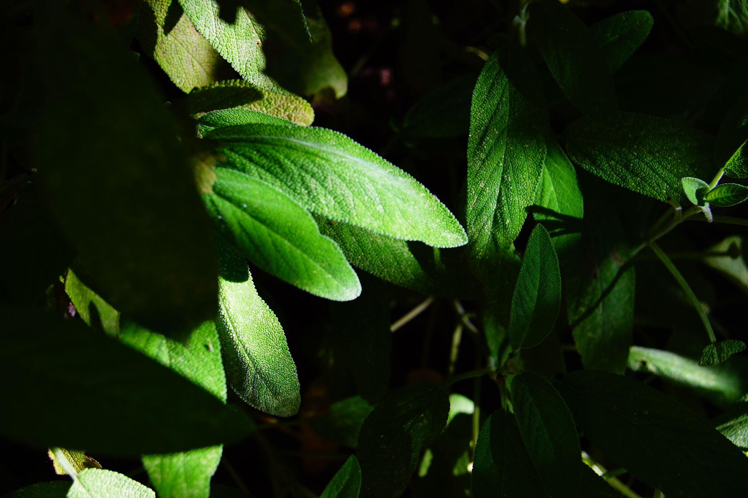 Untitled Photo