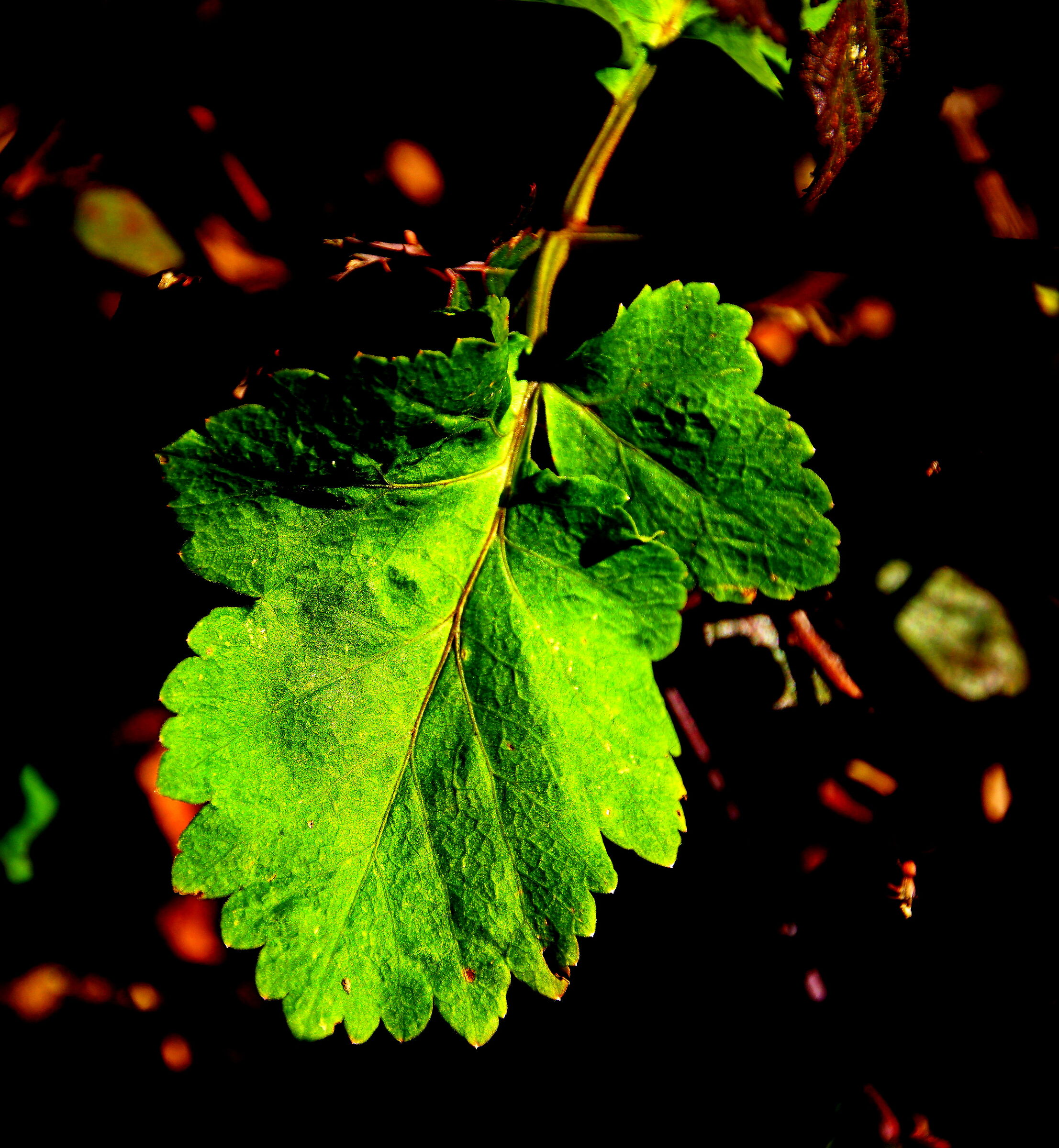 Untitled Photo