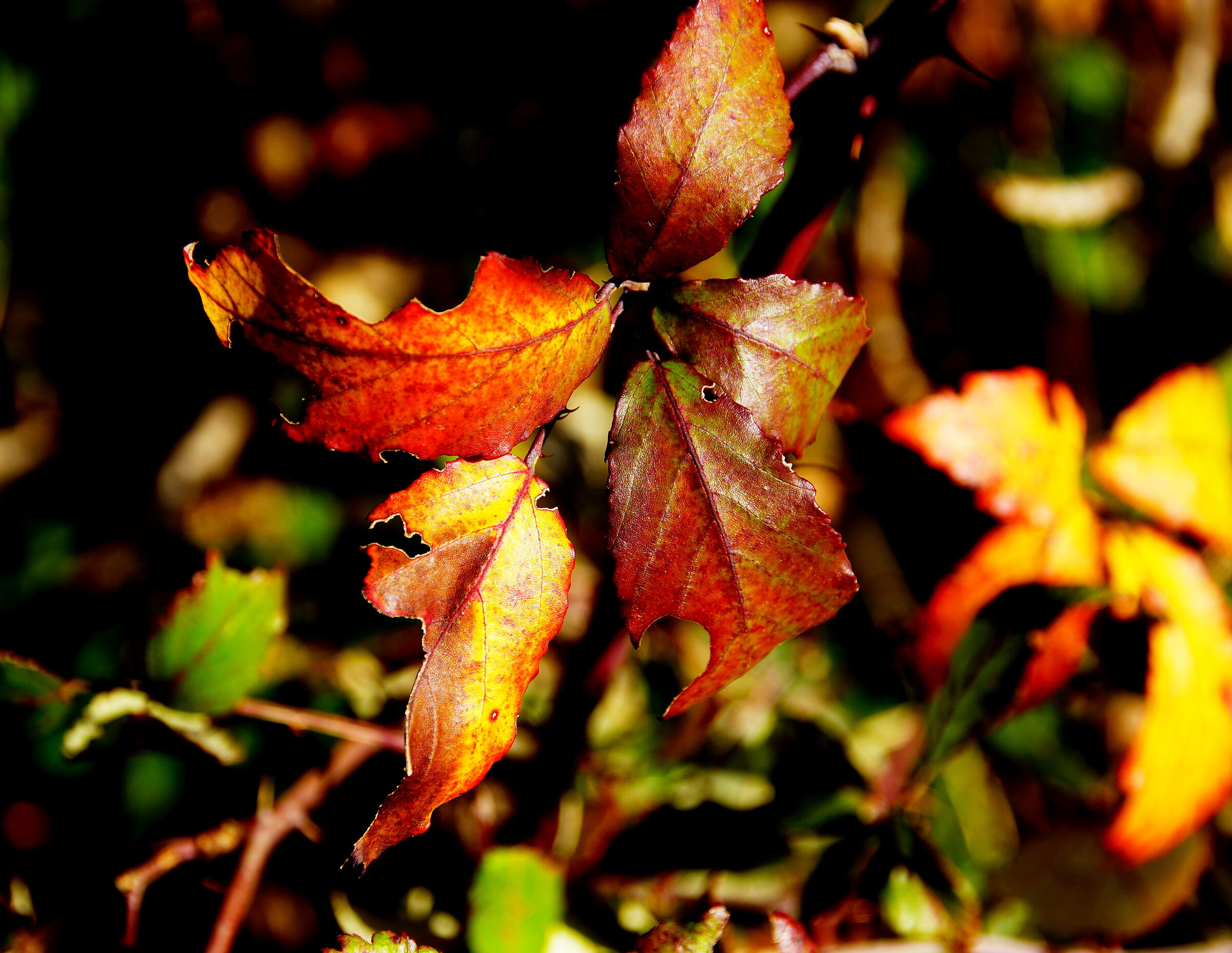 Untitled Photo