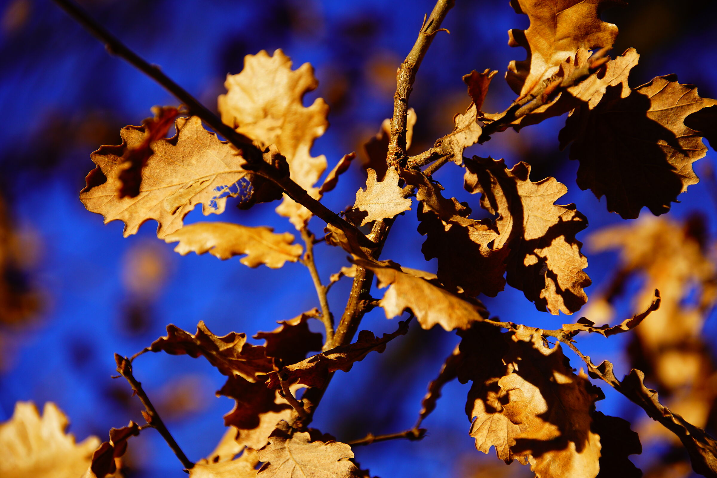 Untitled Photo