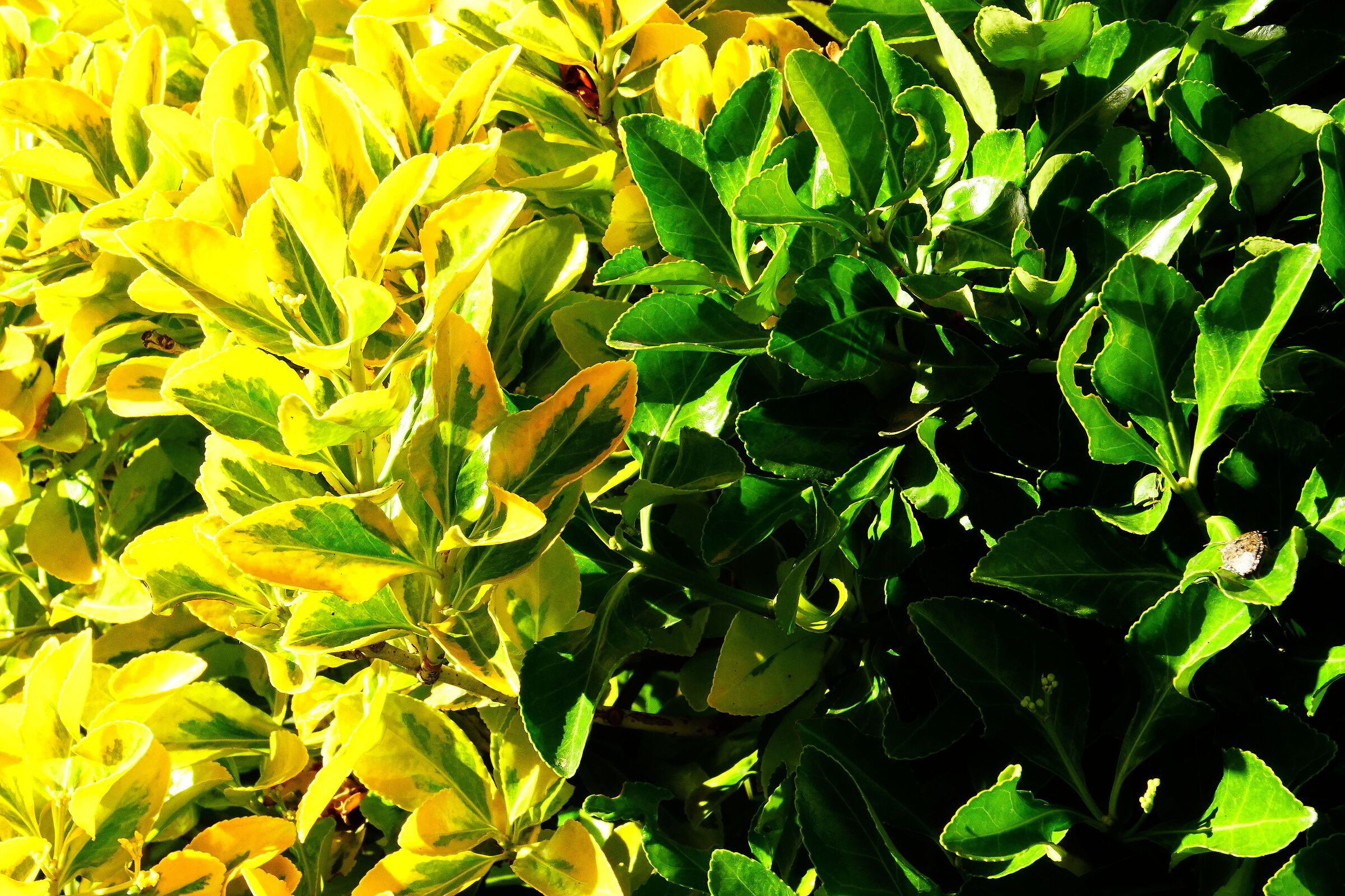 Untitled Photo