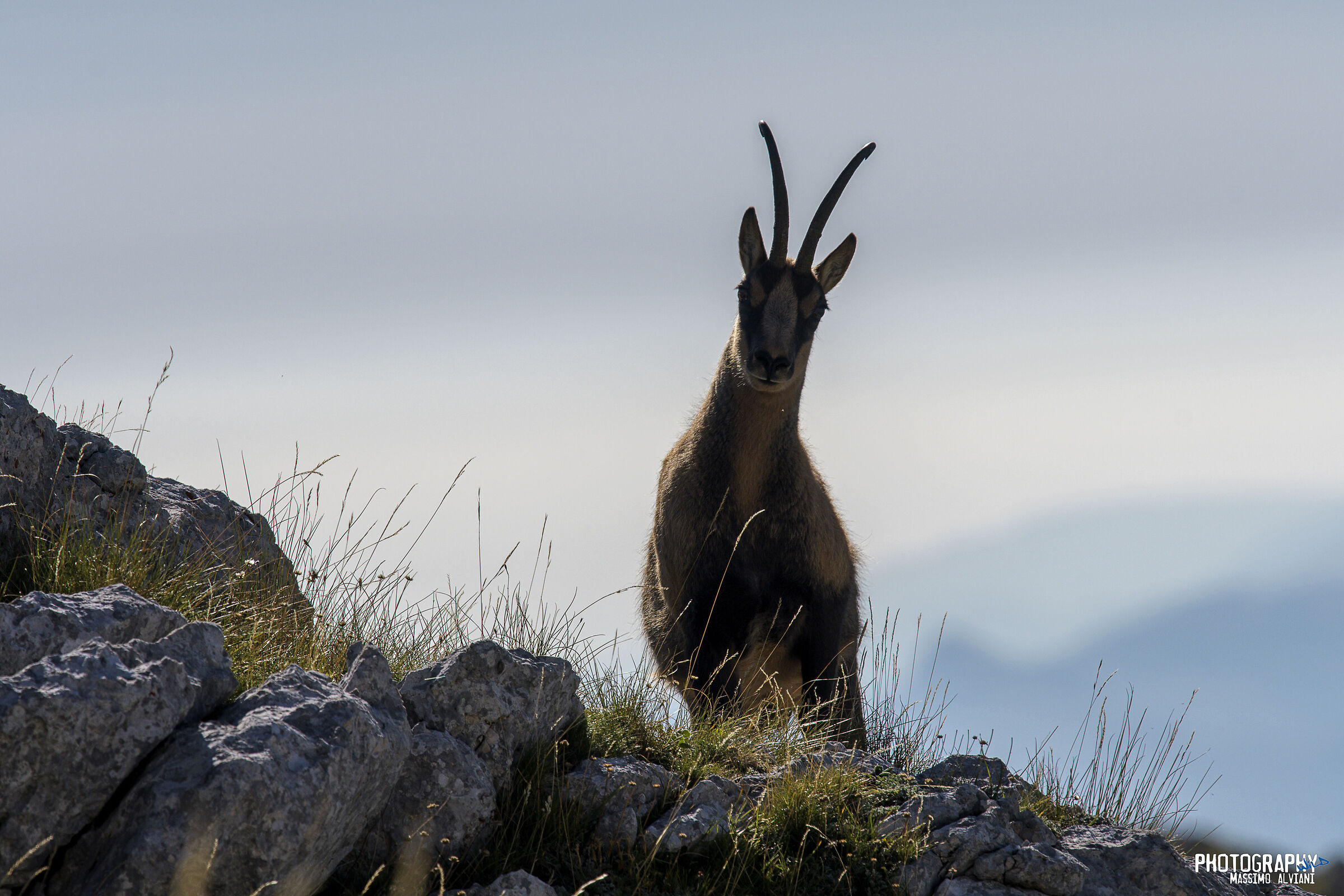 Do you take a picture of me?