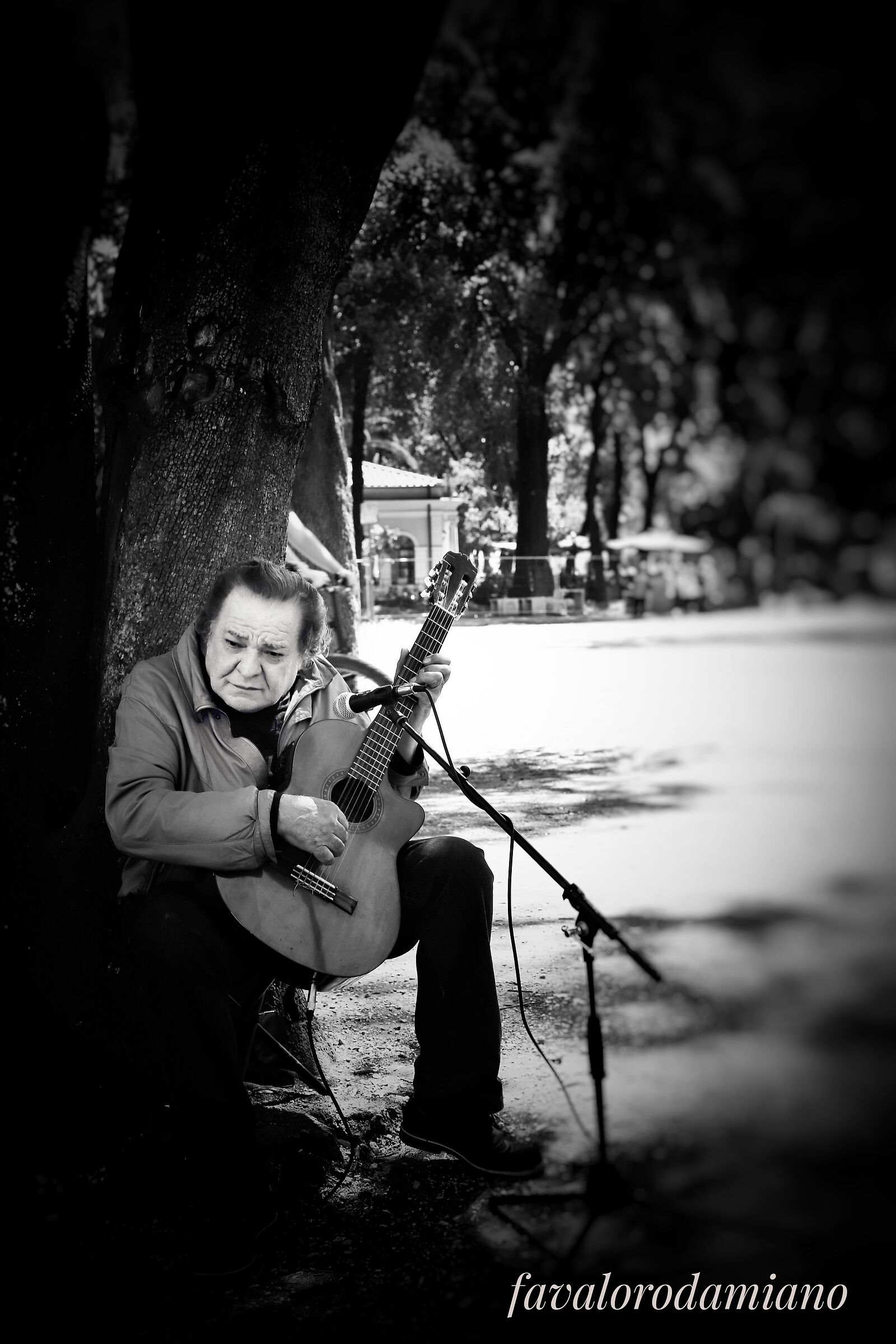 The guitar player