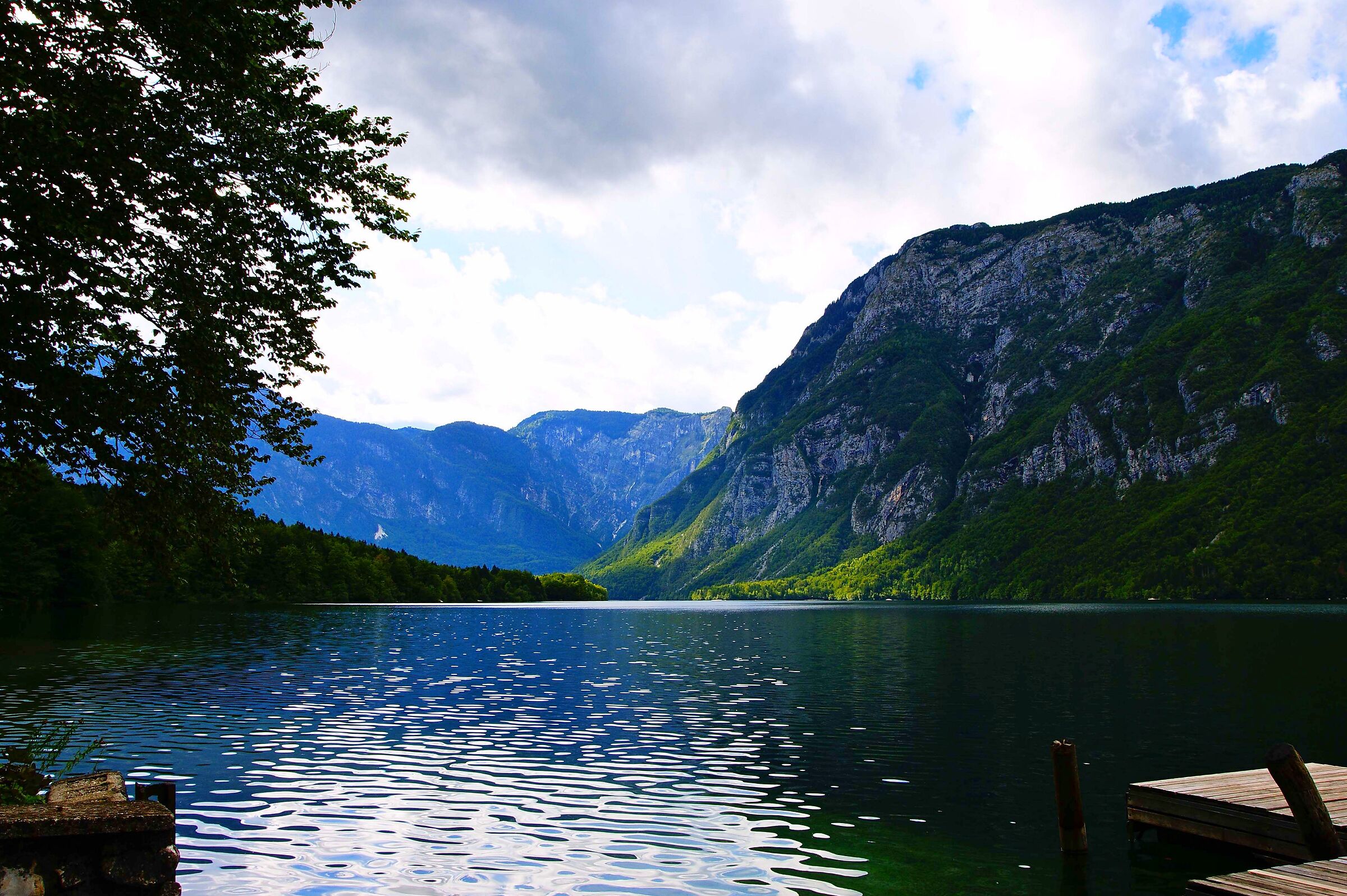Lake Bohinj -Slovenia-