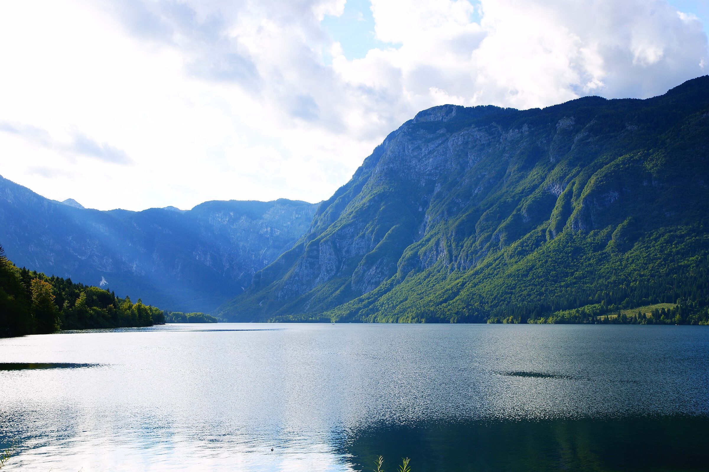 Lake Bohinj -Slovenia-