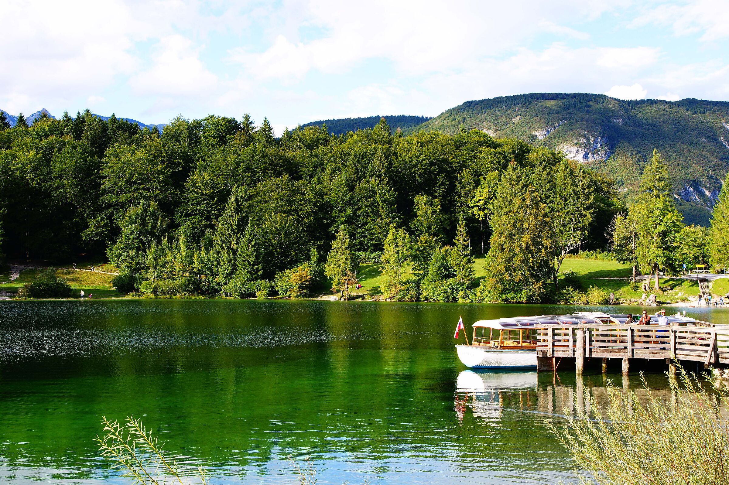 Lake Bohinj -Slovenia-