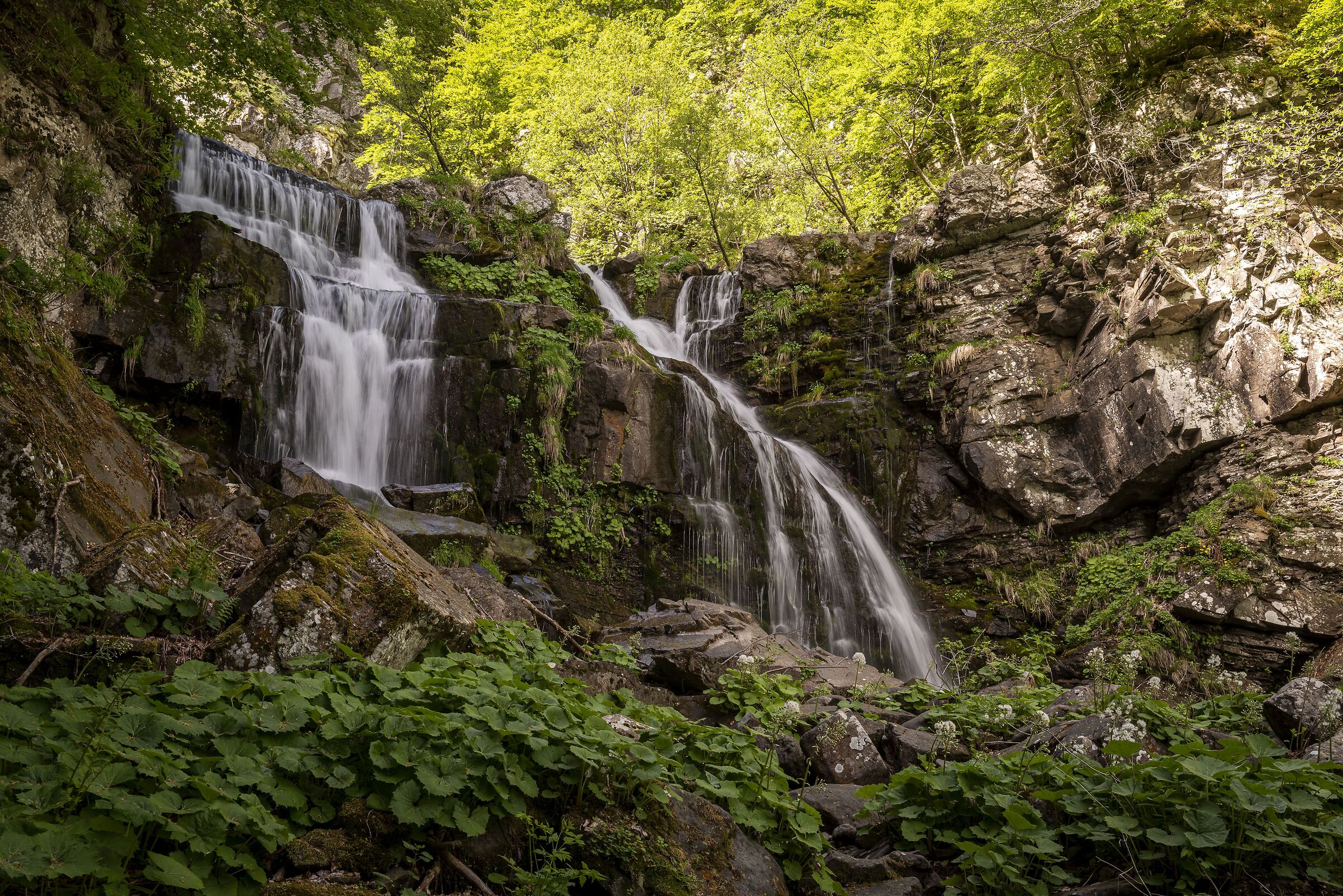 Clear fresh and fresh waters