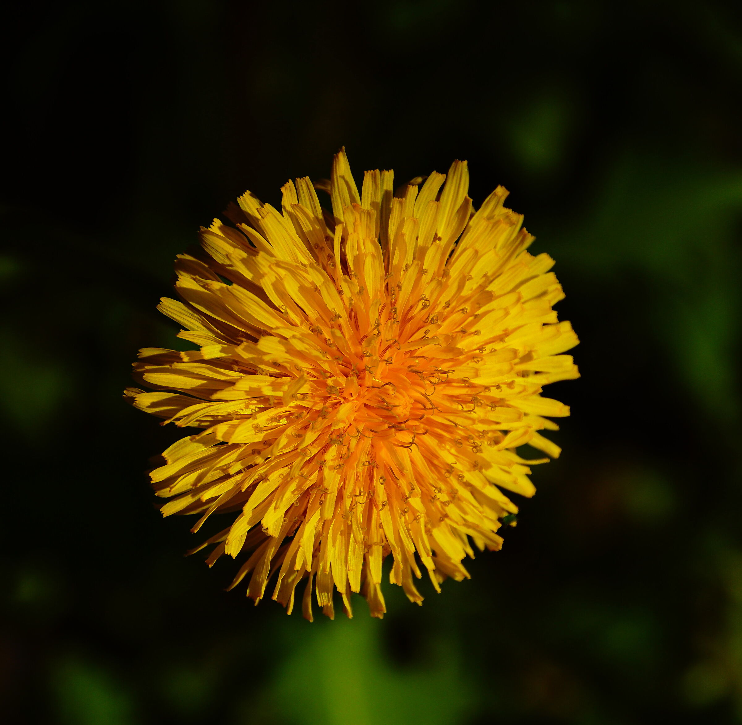Untitled Photo