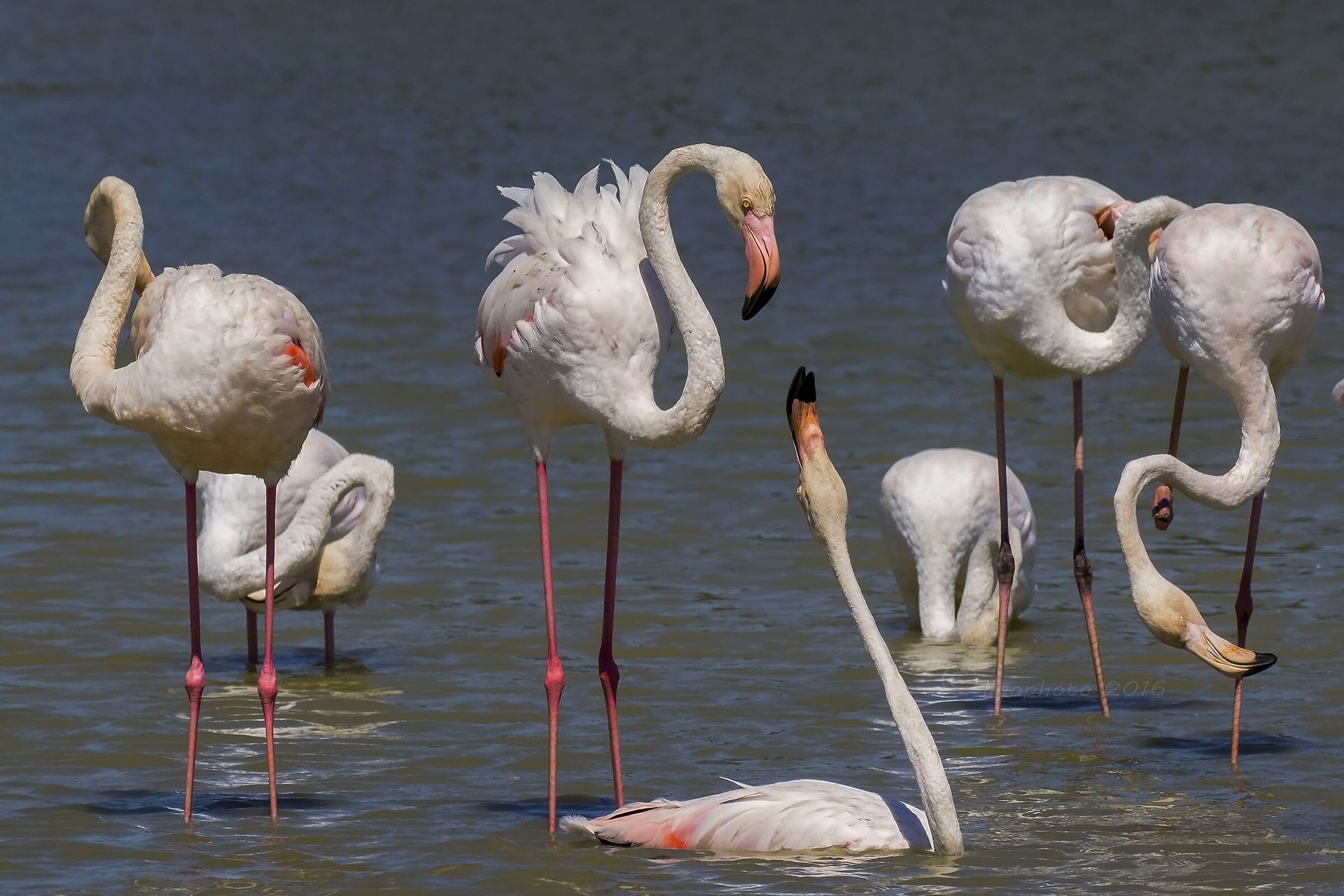 Gruppo di famiglia in un .............esterno.