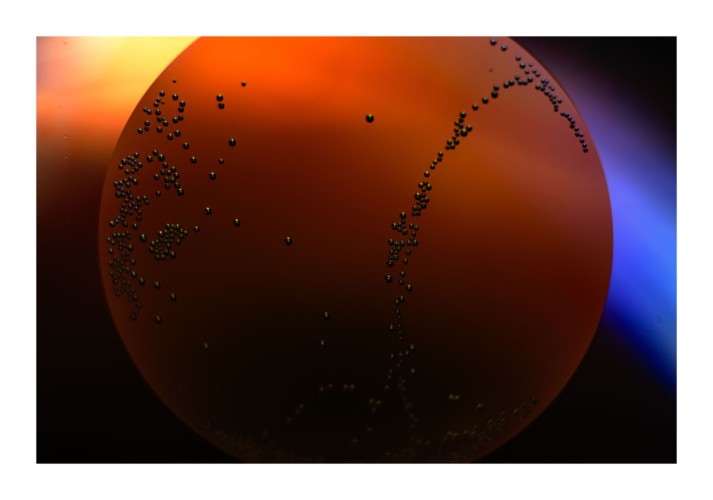 ai confini della realtà