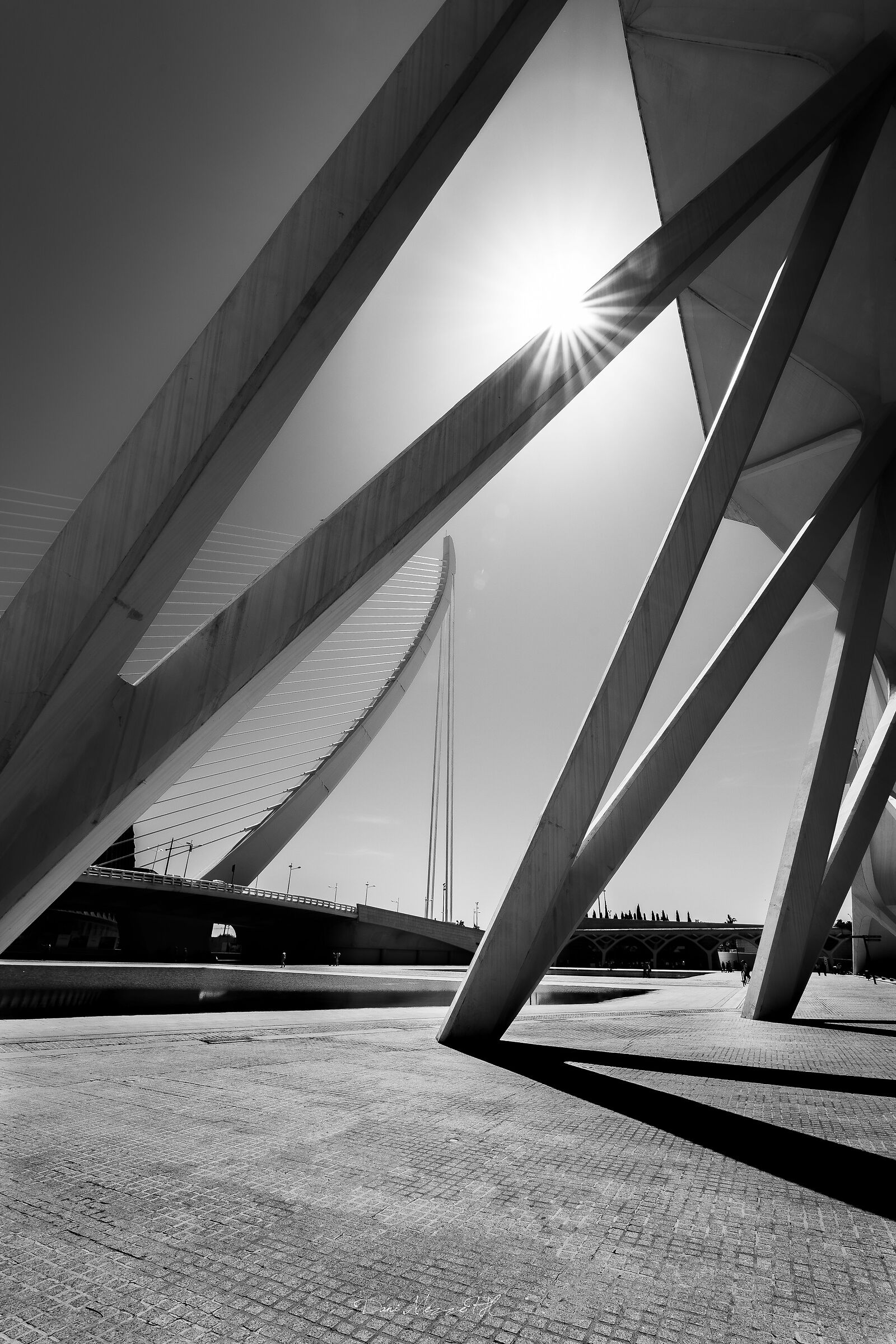 Ciutat de les Arts i les Ciències pt.1