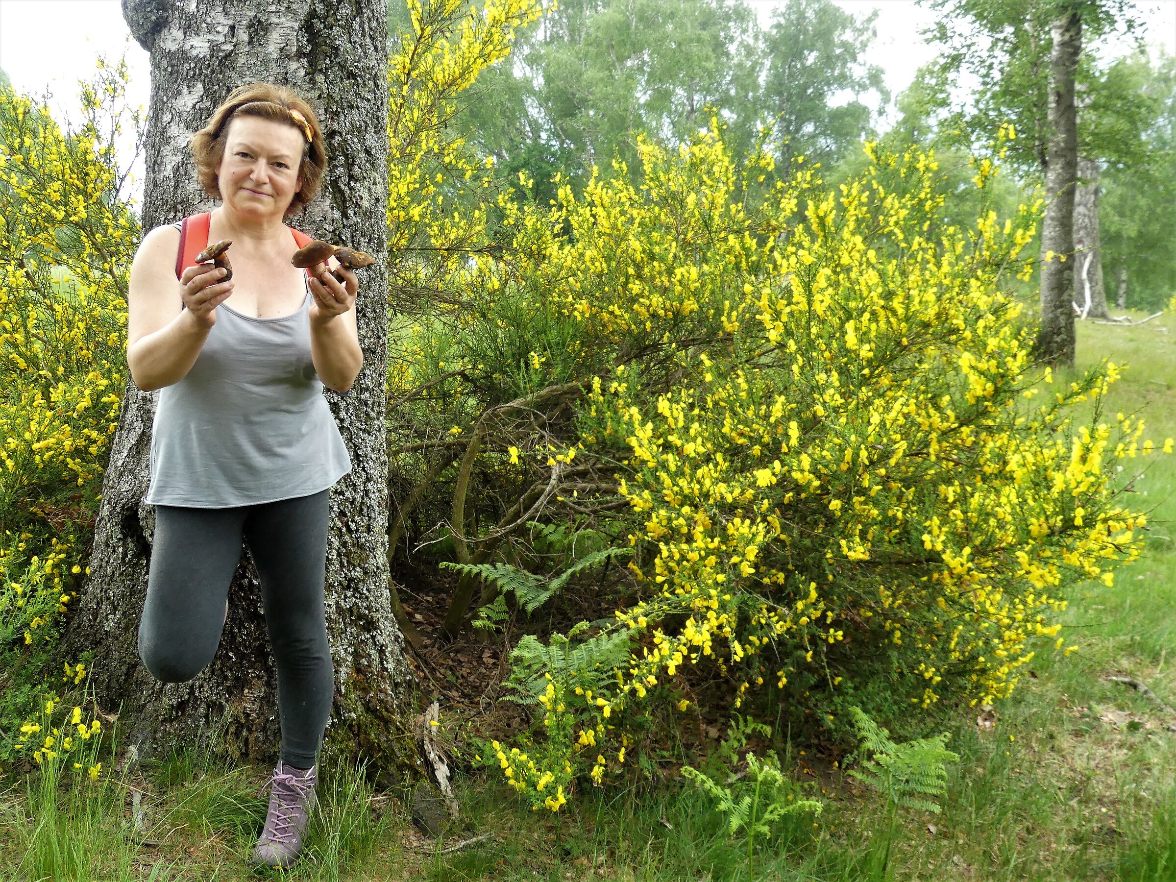 Tra funghi e ginestre