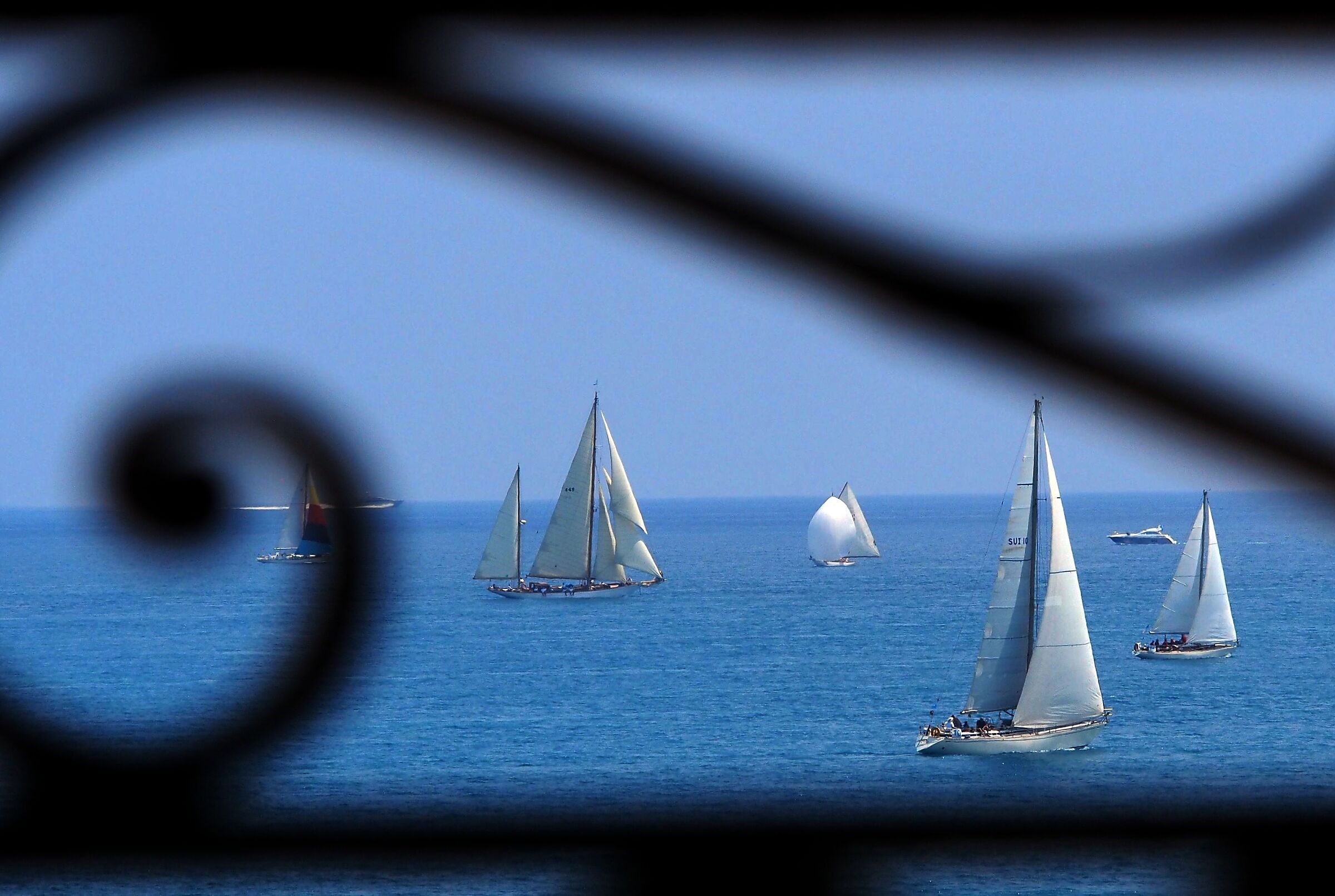 regatta with frame