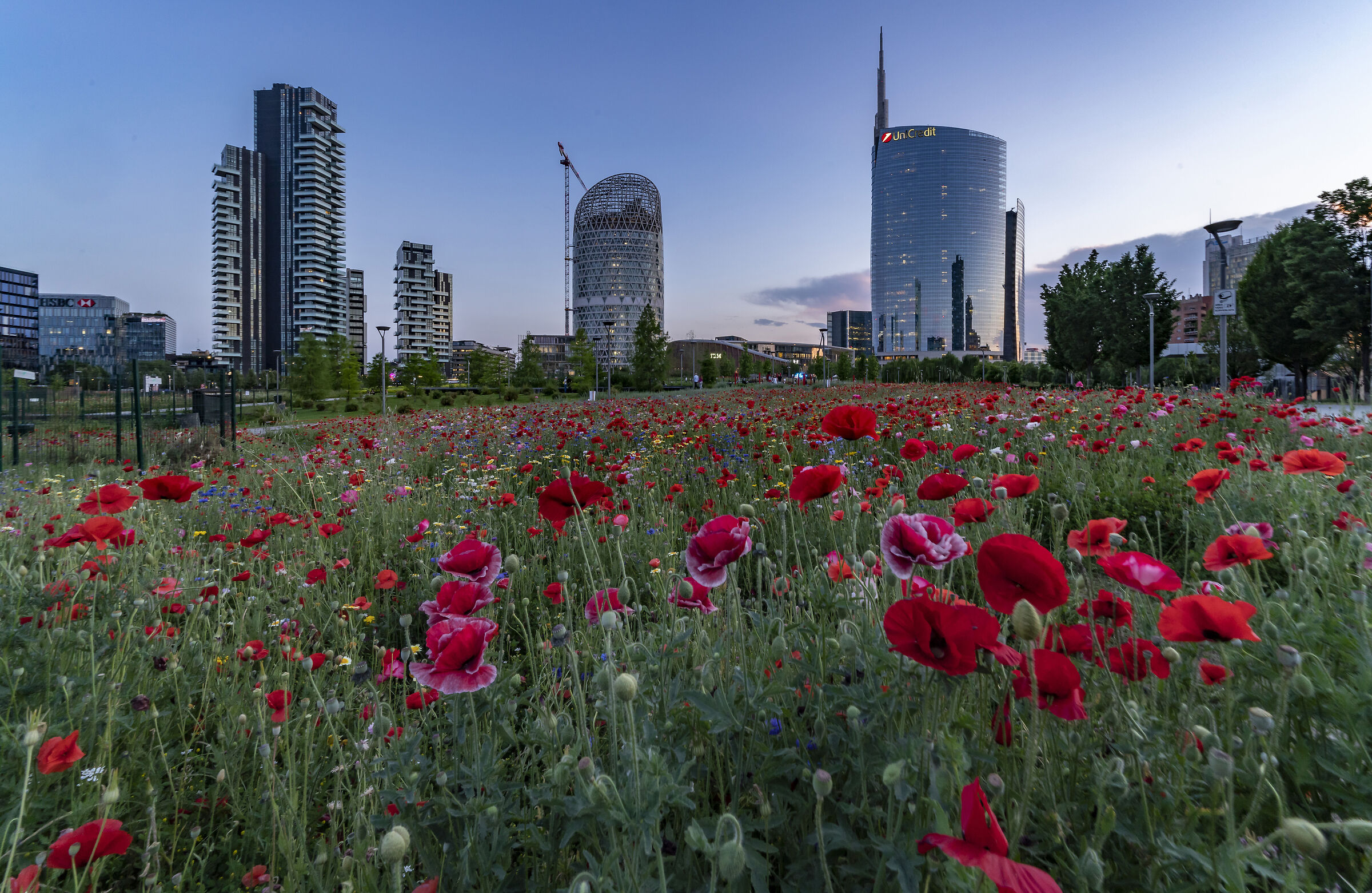 Skyscrapers of Porta Nuova - 16 May 2022, 20:51