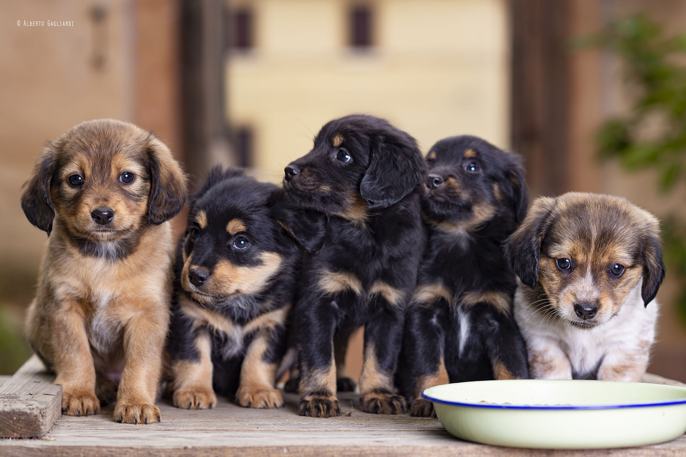 Five reasons to be loved