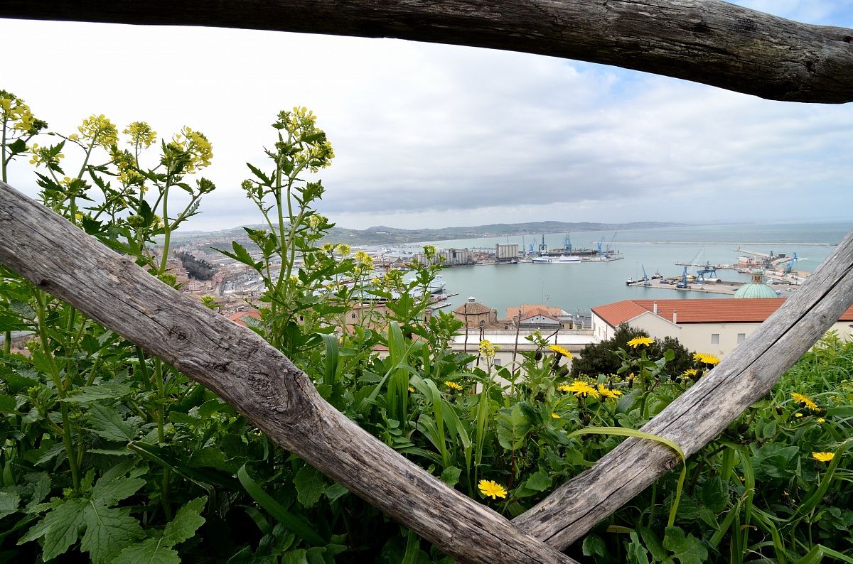Il porto di Ancona