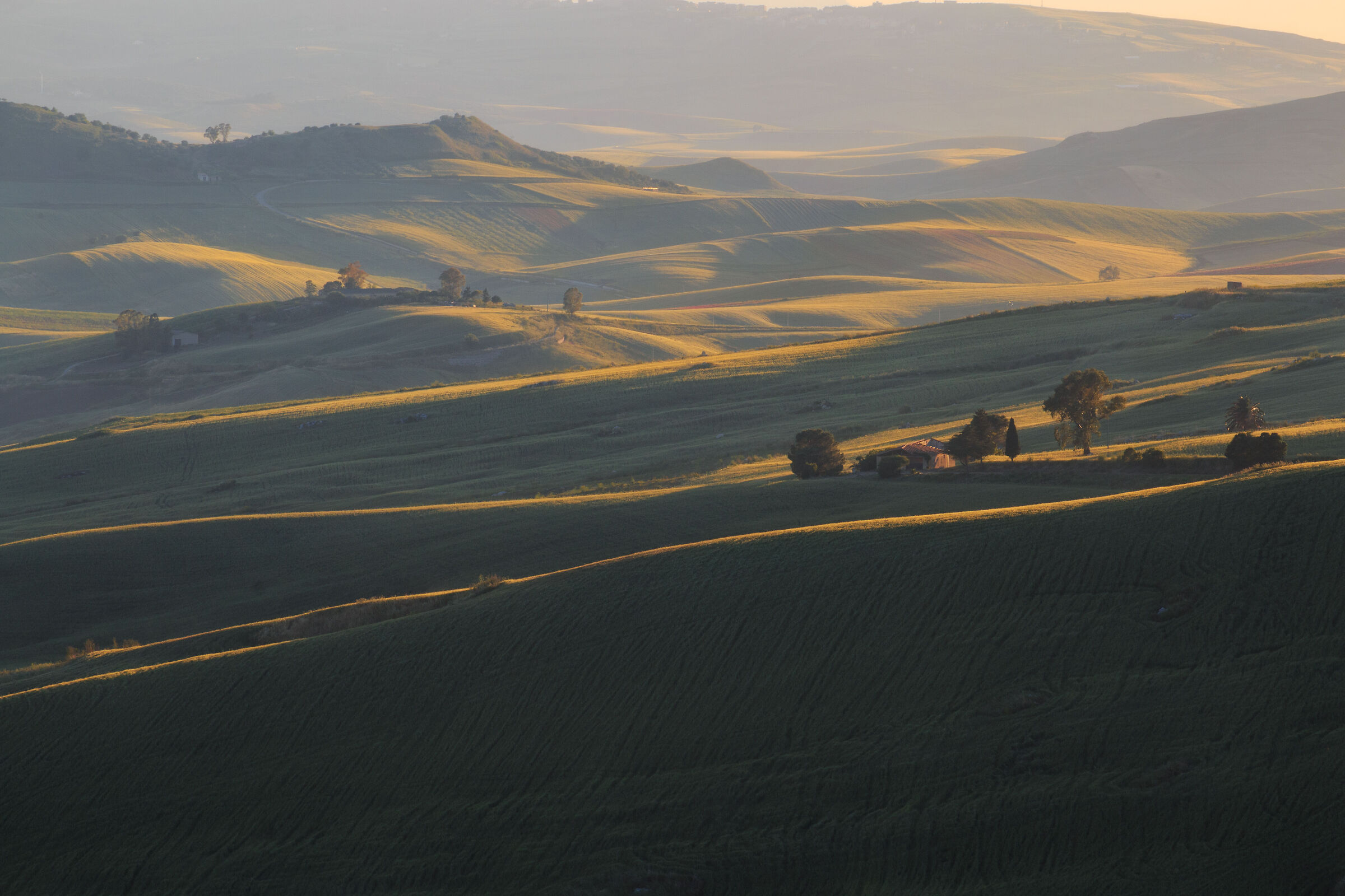 Carezza sul casolare