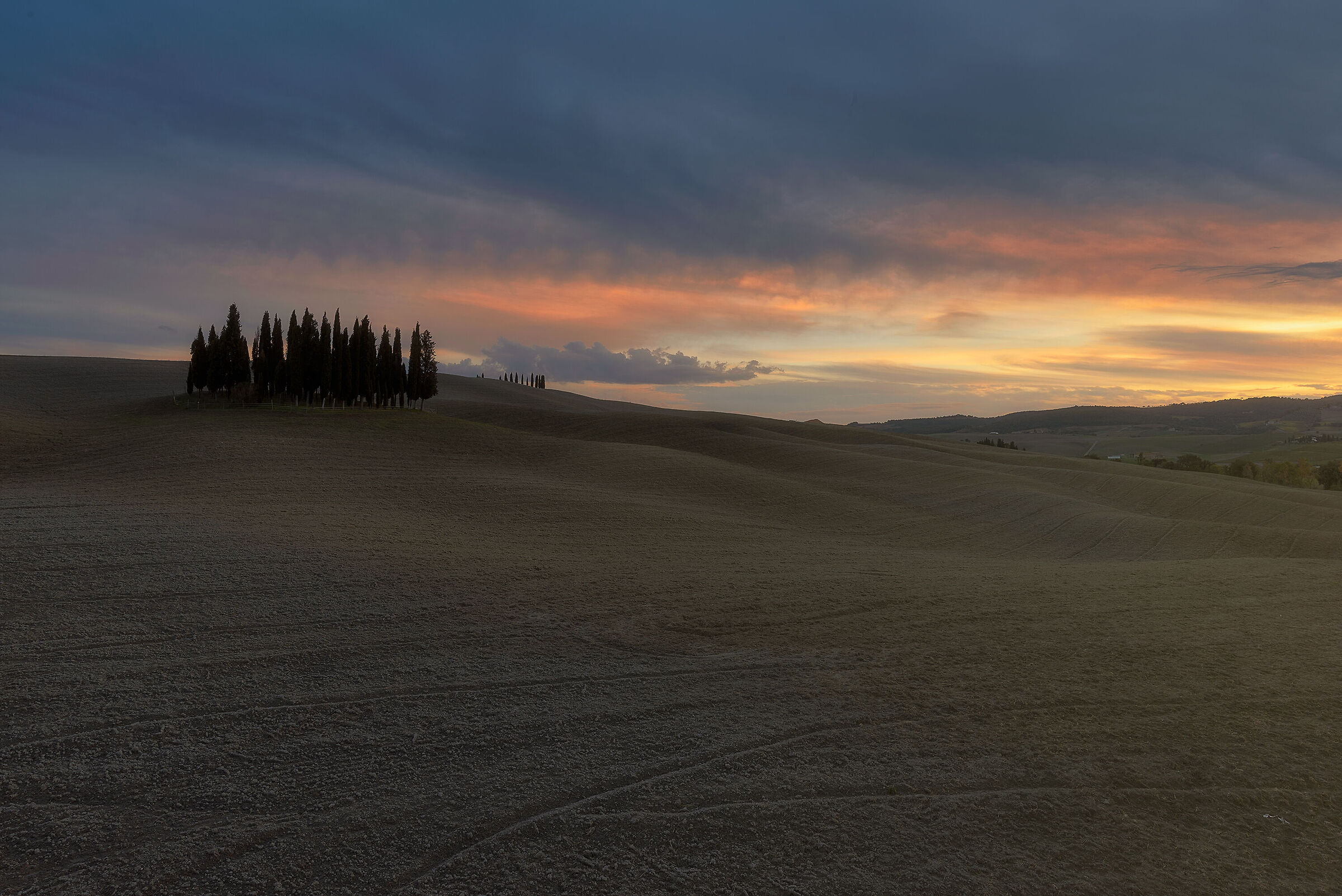 Cipressi di Torrenieri