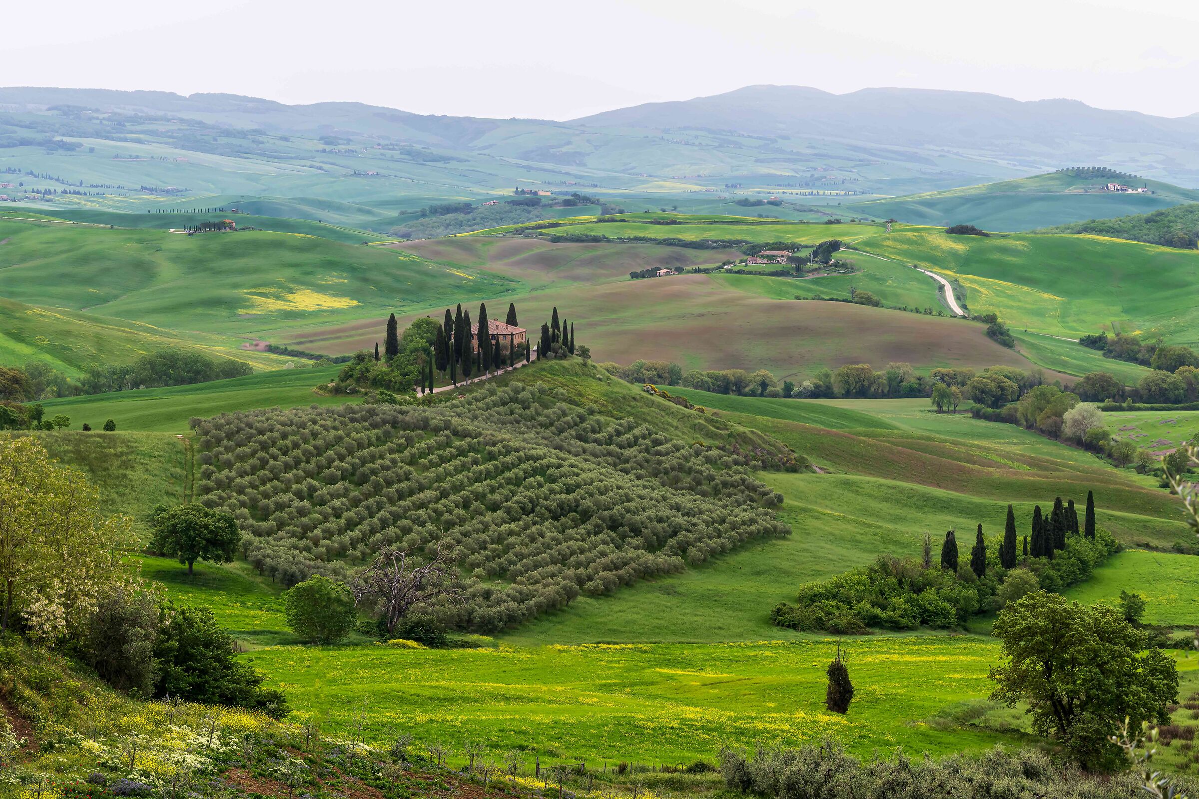 VAL D'ORCIA - TUSCANY