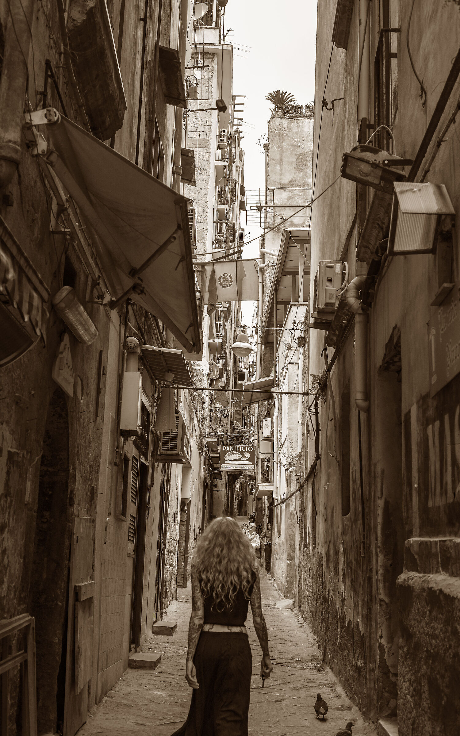 Int'o vico