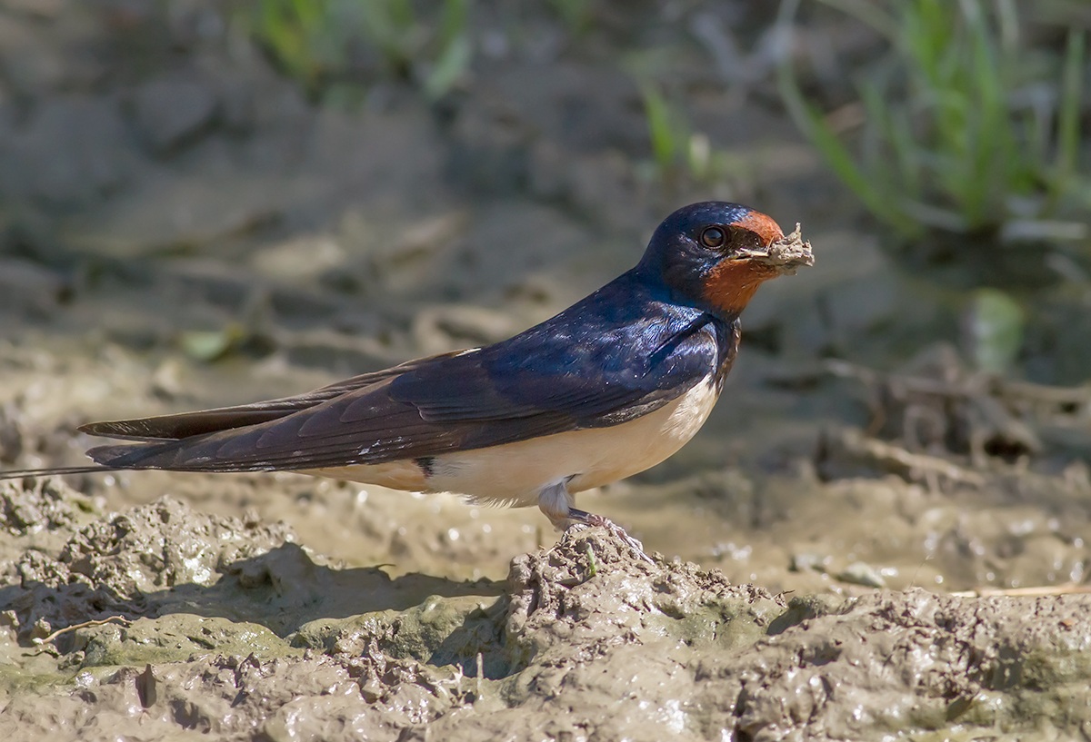 e' uno sporco lavoro, ma qualcuno lo deve pur fare....