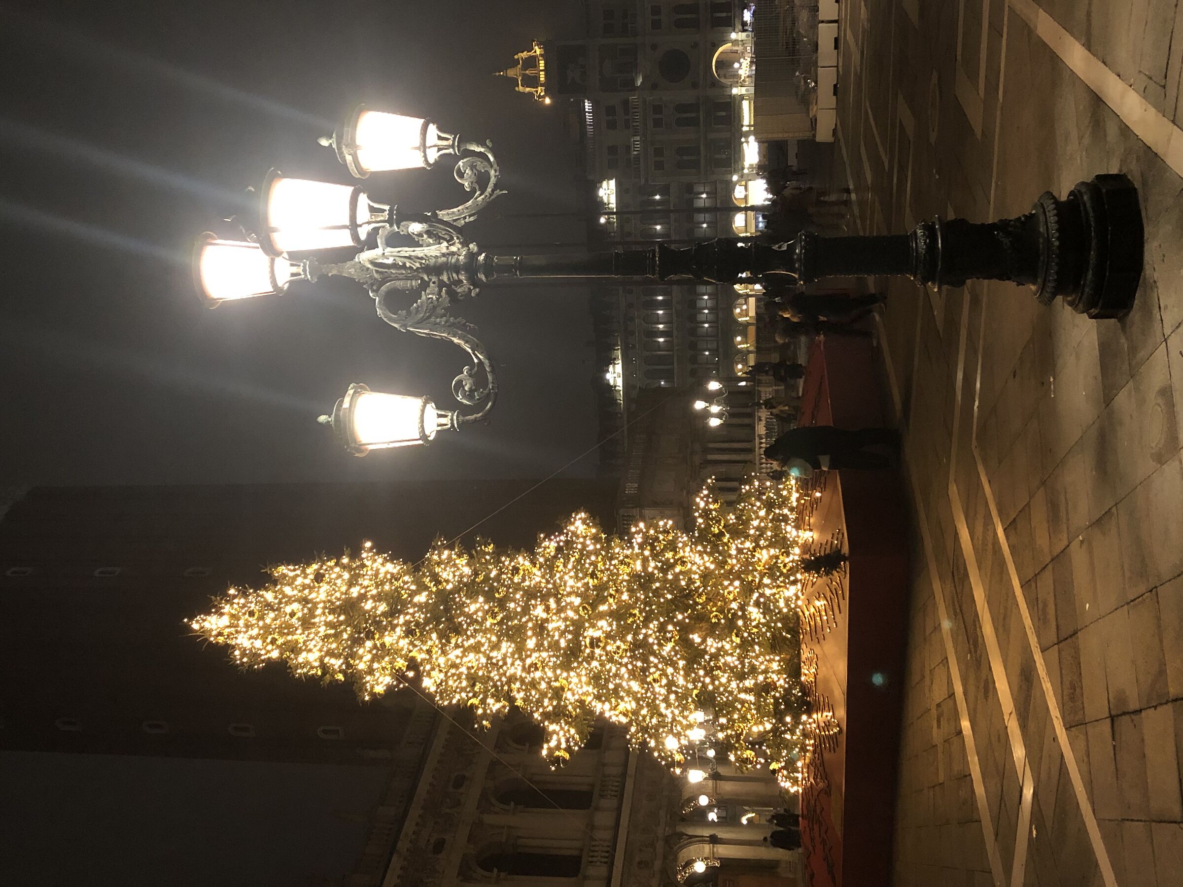 Venezia