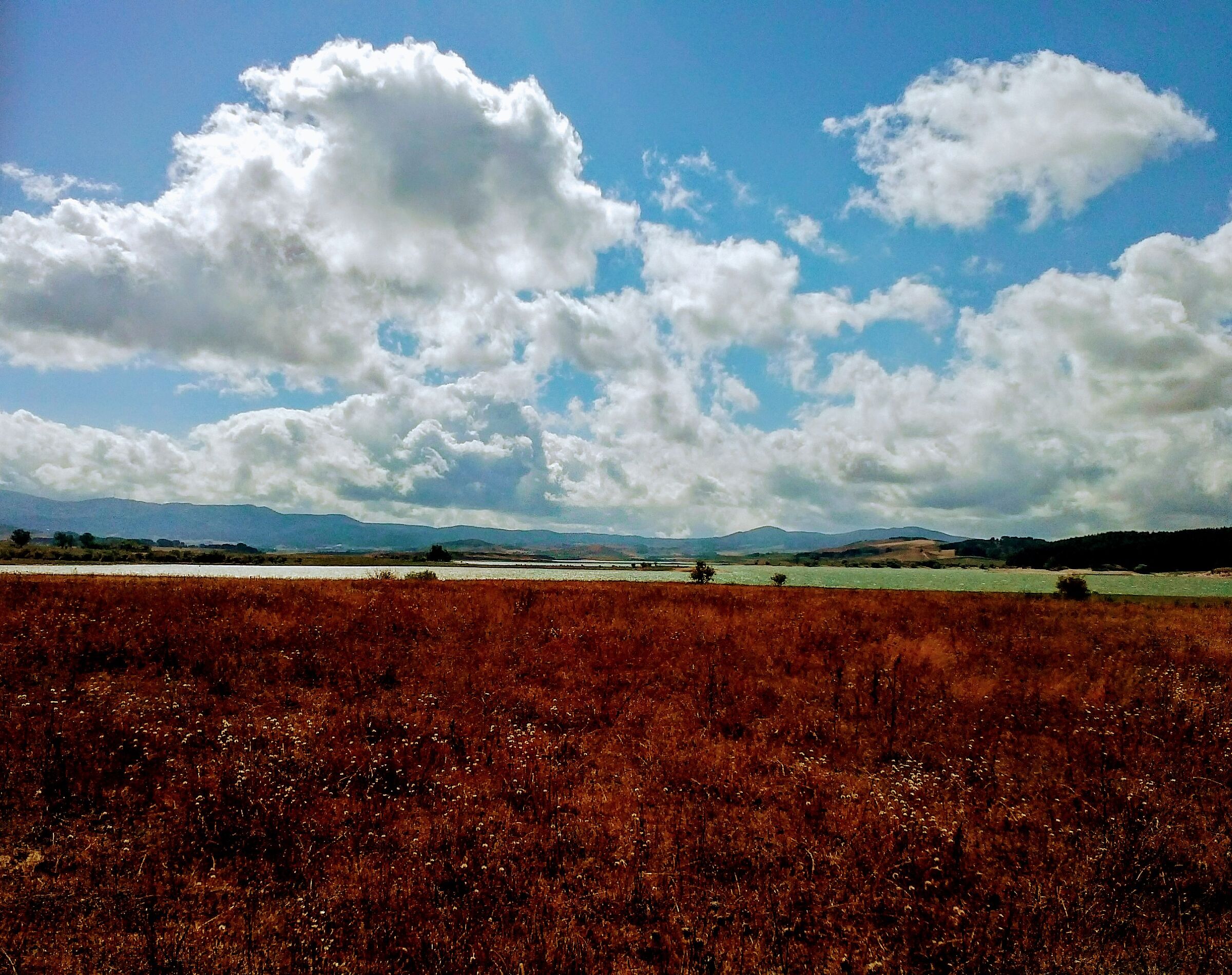 Some Clouds