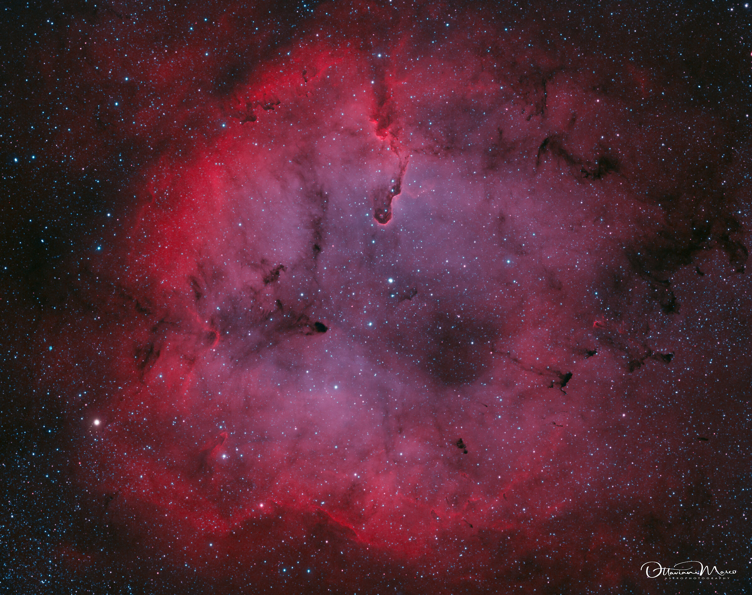 ic1396 nebulosa proboscide di elefante
