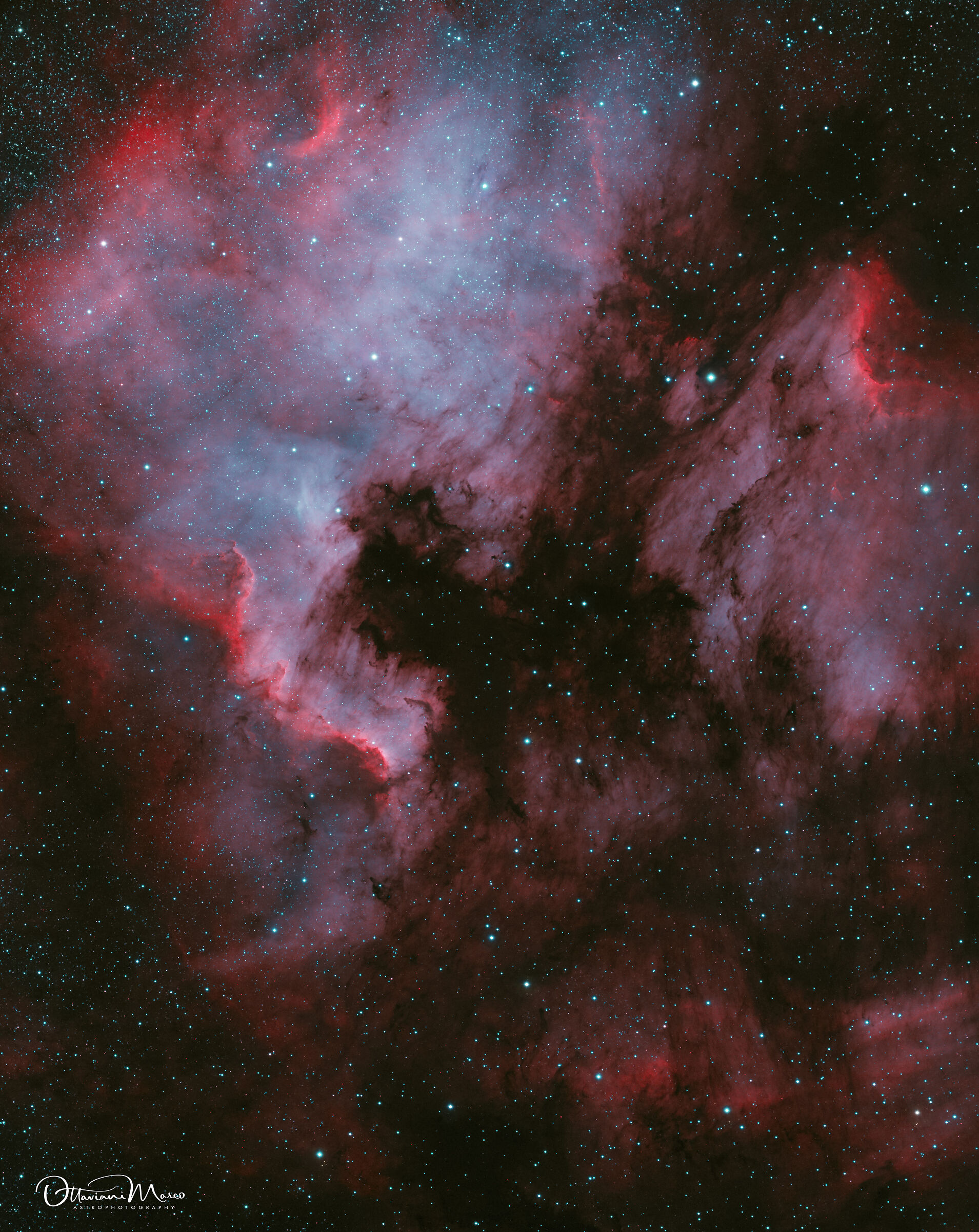 ngc7000 nebulosa nord america