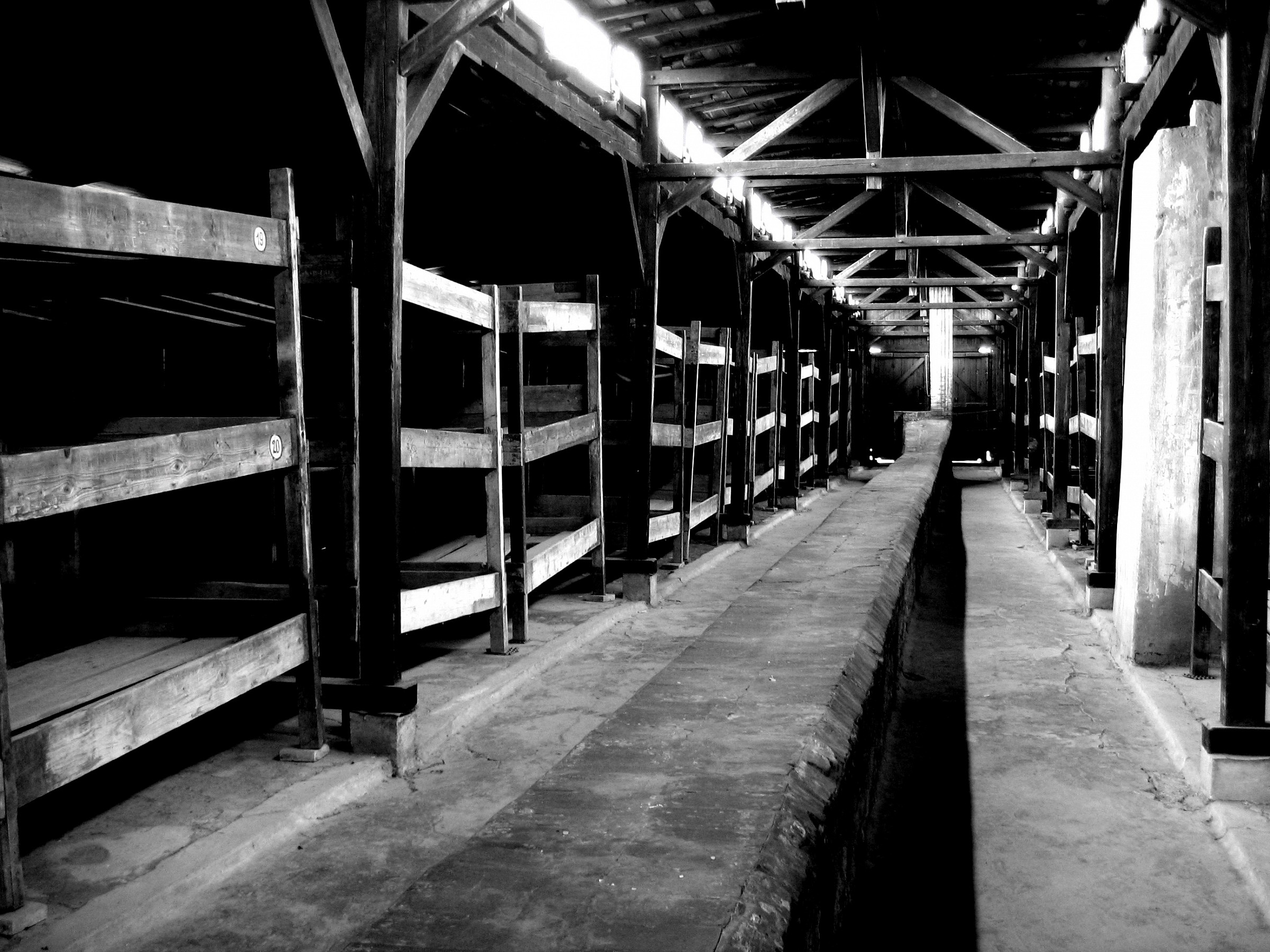 Se questo é un uomo