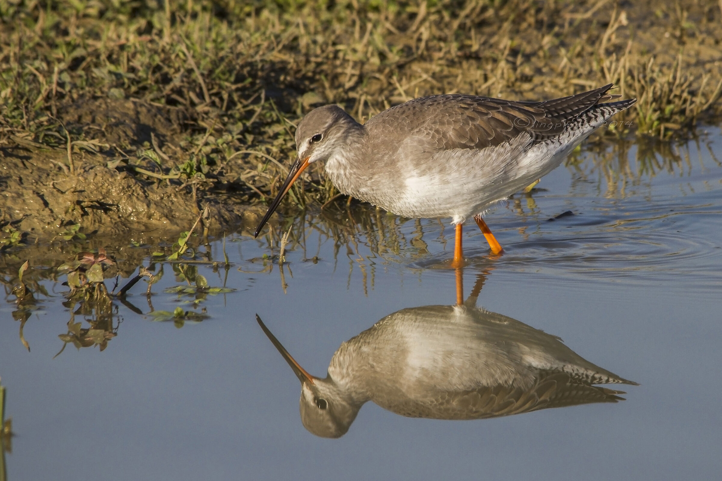 Ciao fratello....ti vedo bene......