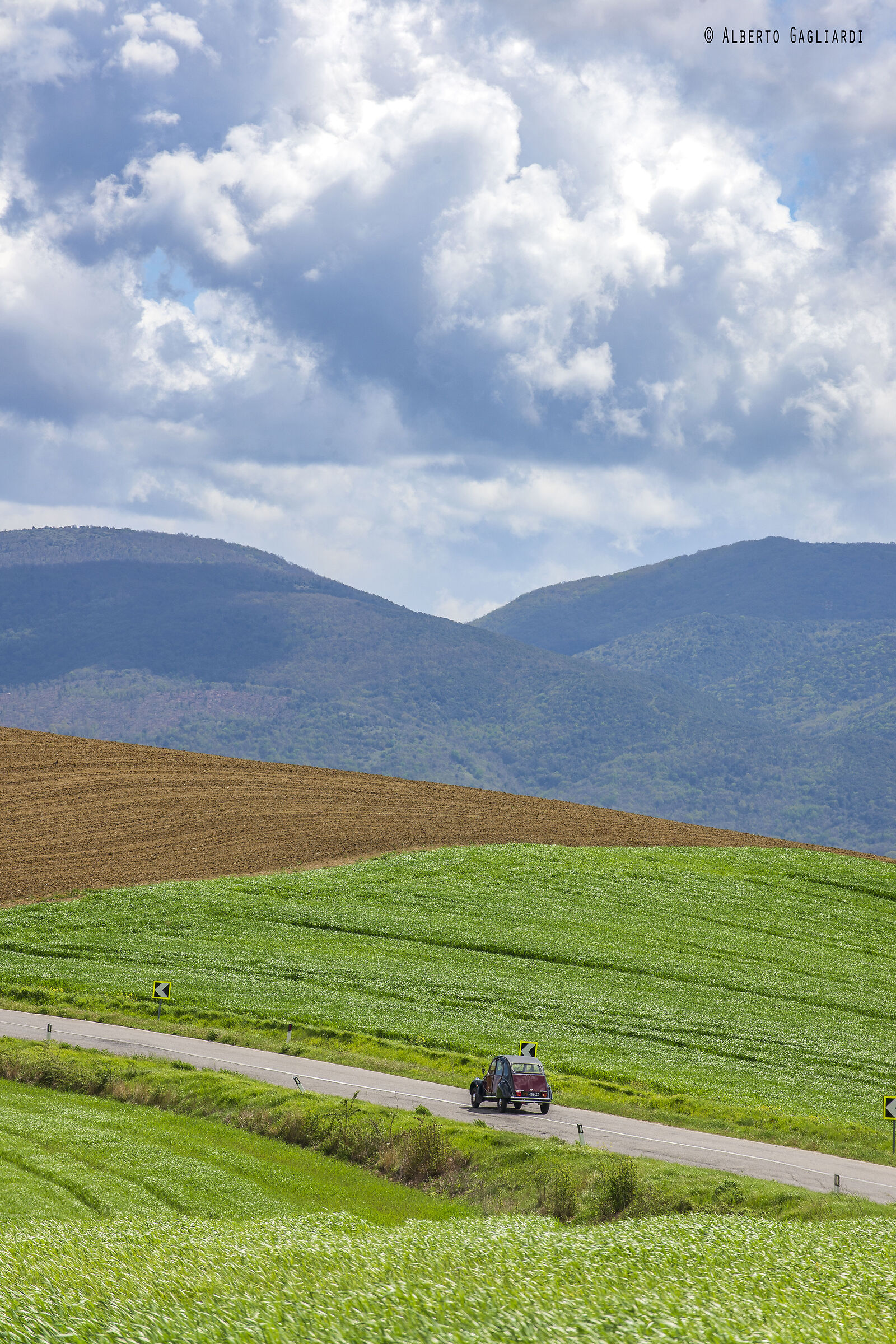 Destination paradise